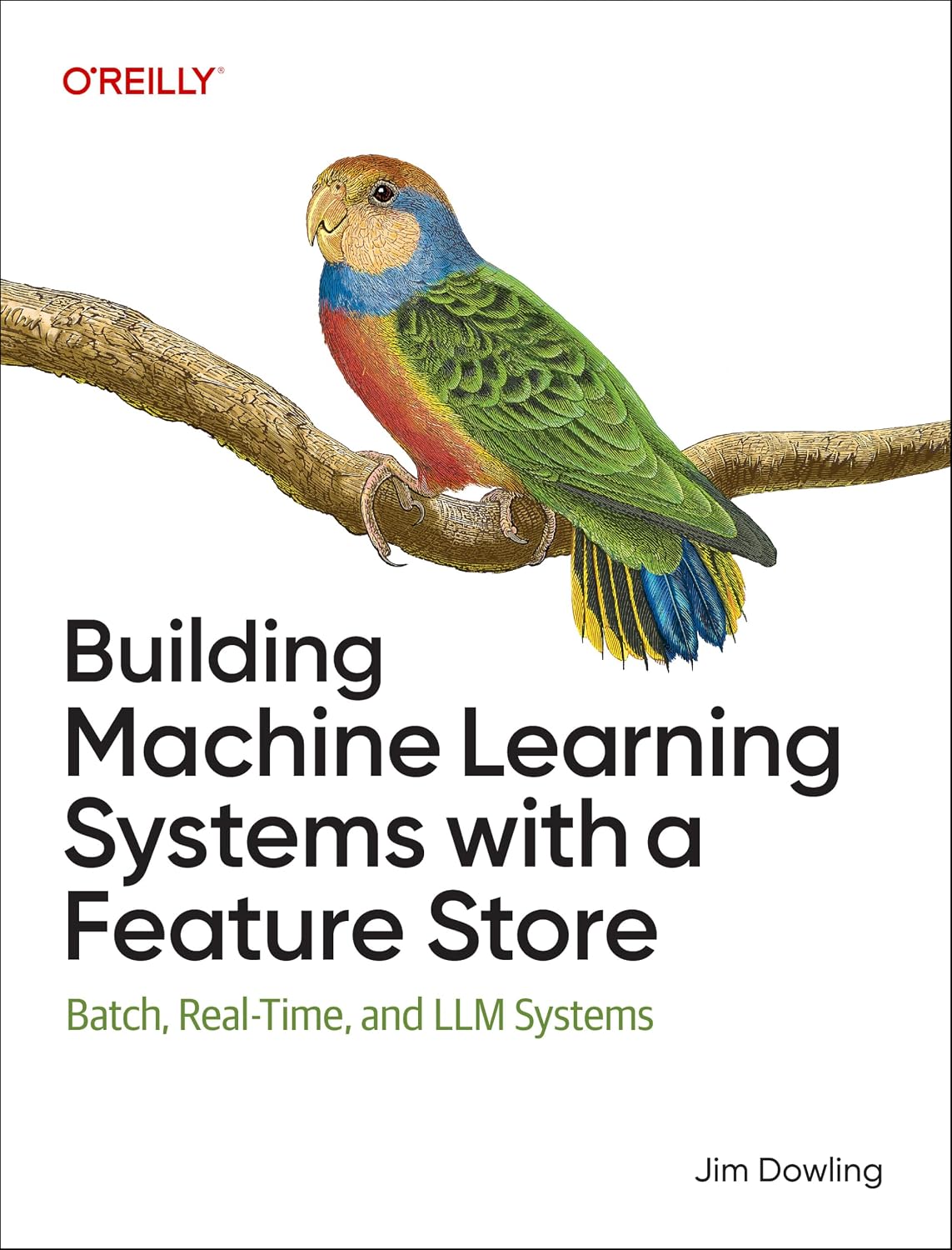 Building Machine Learning Systems with a Feature Store: Batch, Real-Time, and LLM Systems baixar livro de graça
