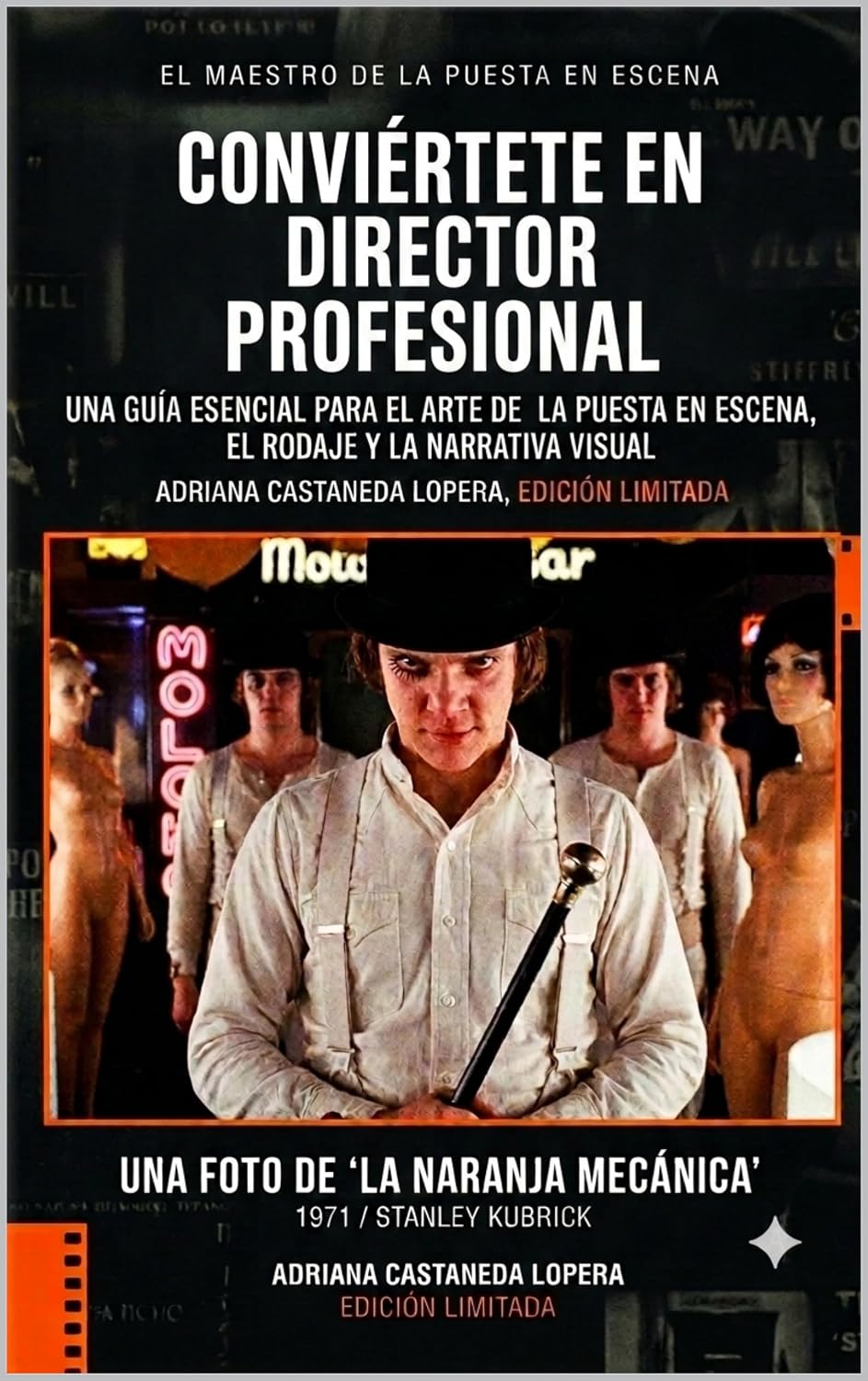 CONVIERTETE EN DIRECTOR PROFESIONAL: CINEMATOGRAFIA (Spanish Edition) baixar livro de graça