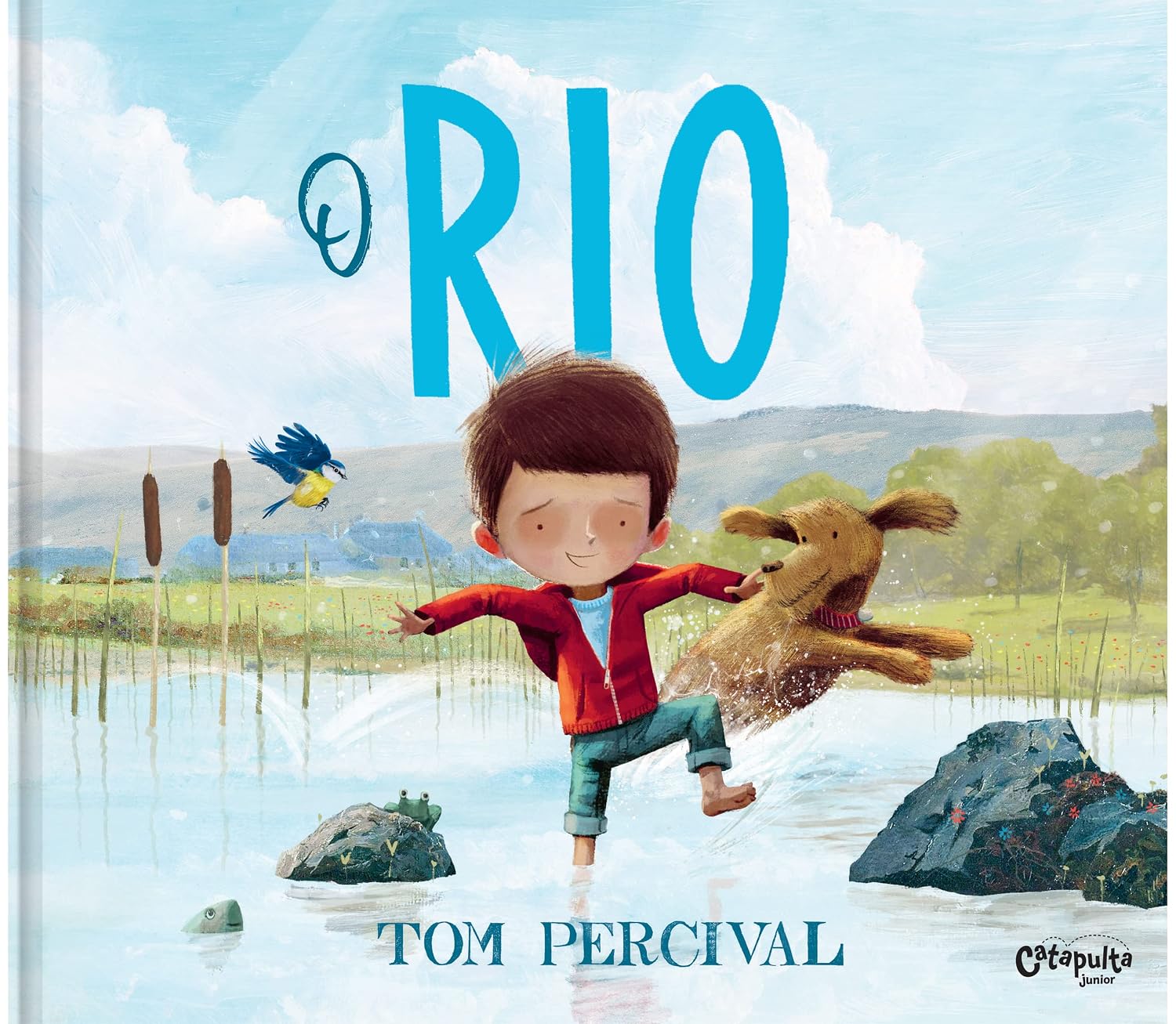 O Rio baixar o livro de graça