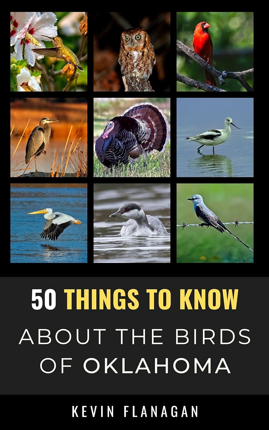 capítulo por capítulo baixar 50 Things to Know About Birds in Oklahoma: Birdwatching Guide, Bird Identification, Local Species, & Backyard Birds (50 Things to Know About Birds & Birdwatching:... and regional bird books) (English Edition)