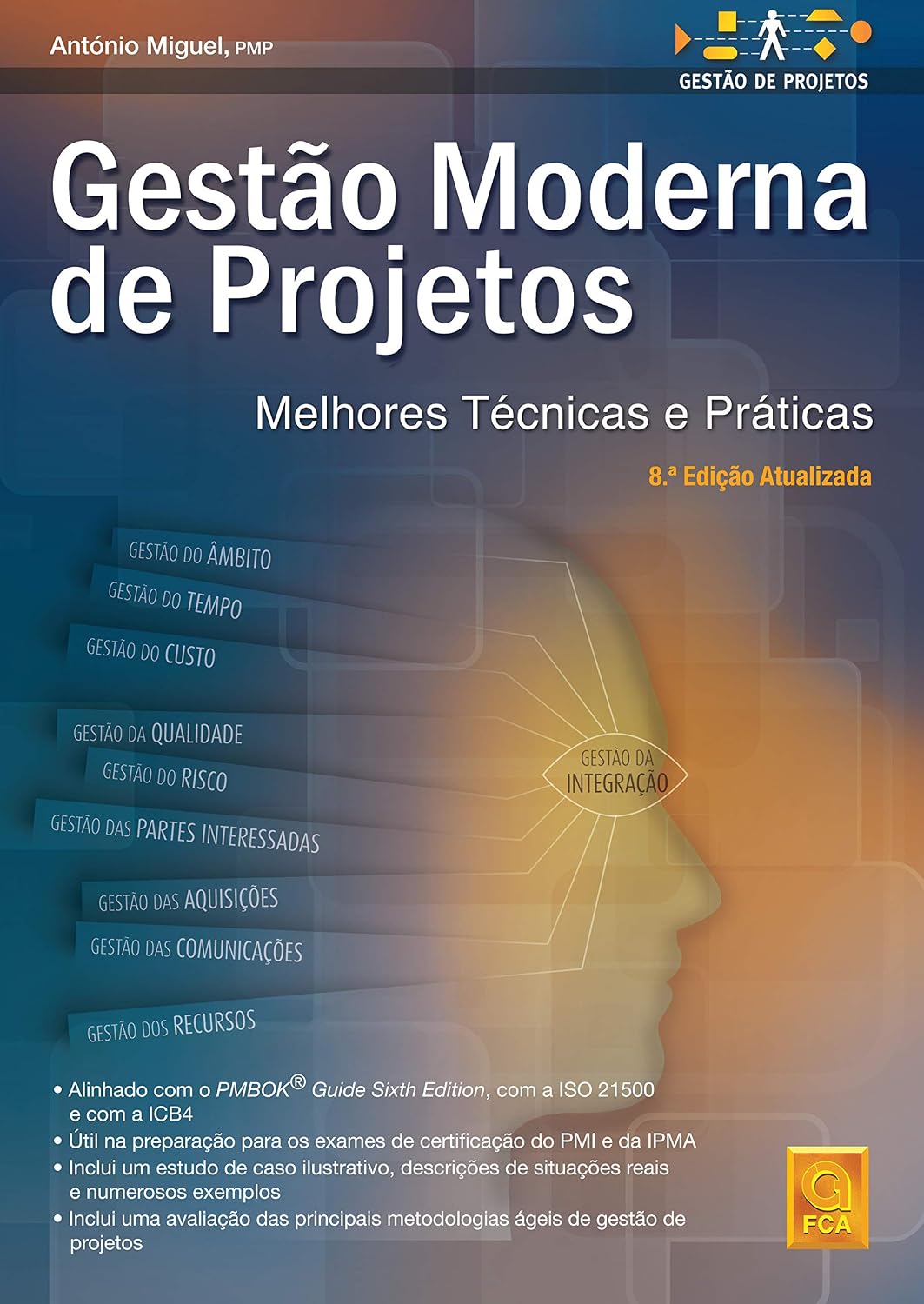 Gestão moderna de projectos - melhores técnicas e práticas baixar o livro de graça
