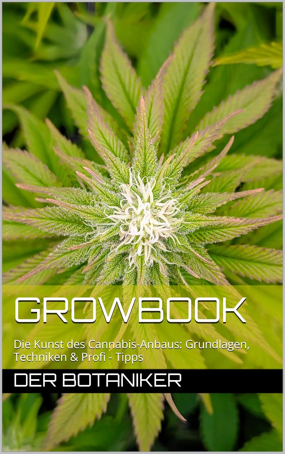 ler totalmente Growbook: Die Kunst des Cannabis-Anbaus: Grundlagen, Techniken & Profi - Tipps (German Edition)