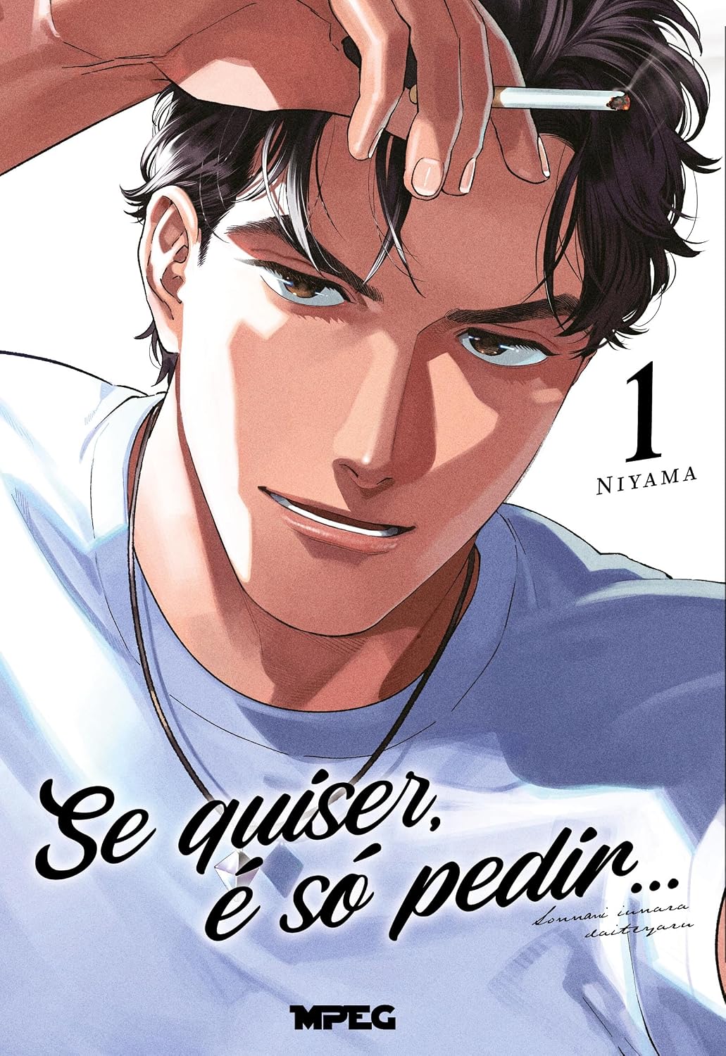 Se quiser, é só pedir - Volume 1