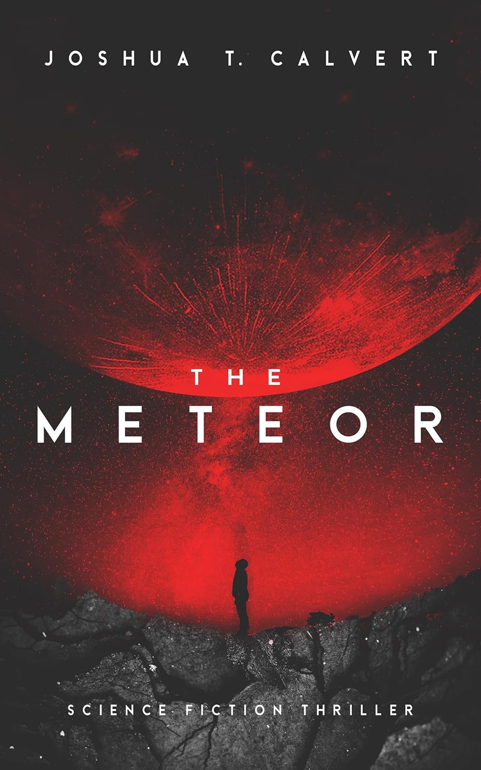 The Meteor: Science Fiction Thriller (English Edition) baixar livro de graça