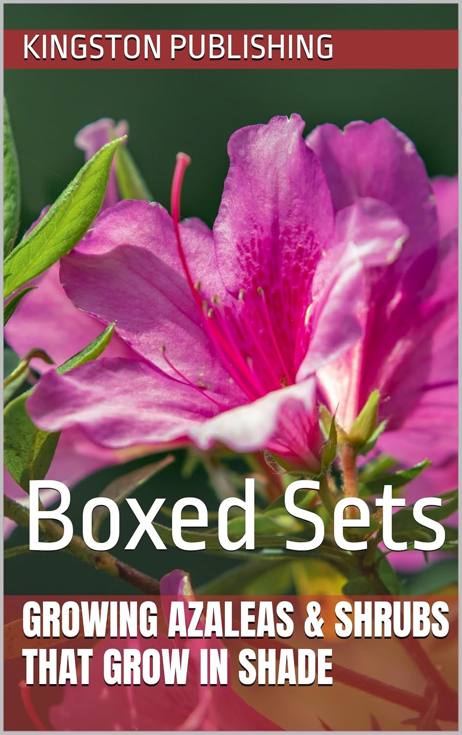 Growing Azaleas & Shrubs That Grow in Shade: Boxed Sets (Flowers) (English Edition) baixar livro de graça