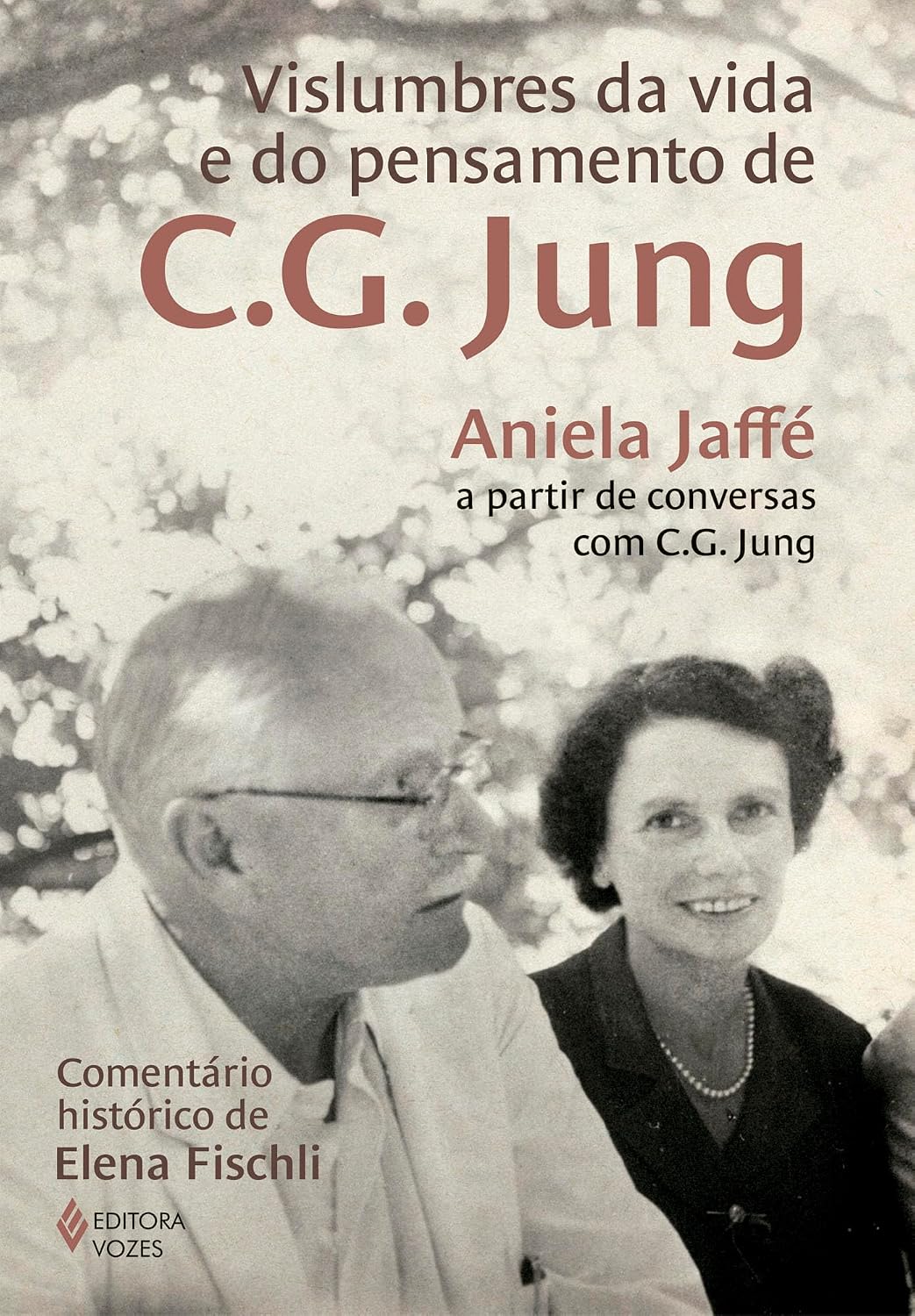 capítulo por capítulo baixar Vislumbres da vida e do pensamento de C.G. Jung: Aniela Jaffé a partir de conversas com C.G. Jung