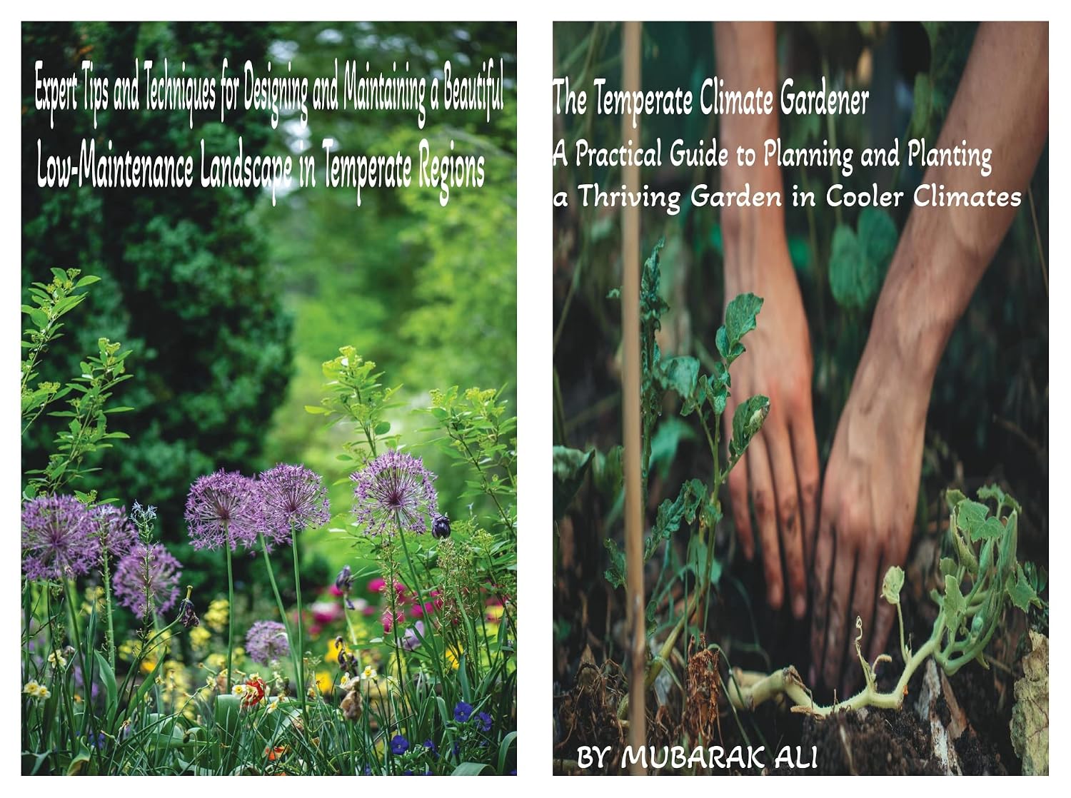 ler totalmente The Temperate Climate Gardener: A Practical Guide to Planning and Planting a Thriving Garden in Cooler Climates: Expert Tips and Techniques for Designing... Garden in Cooler climates (English Edition)