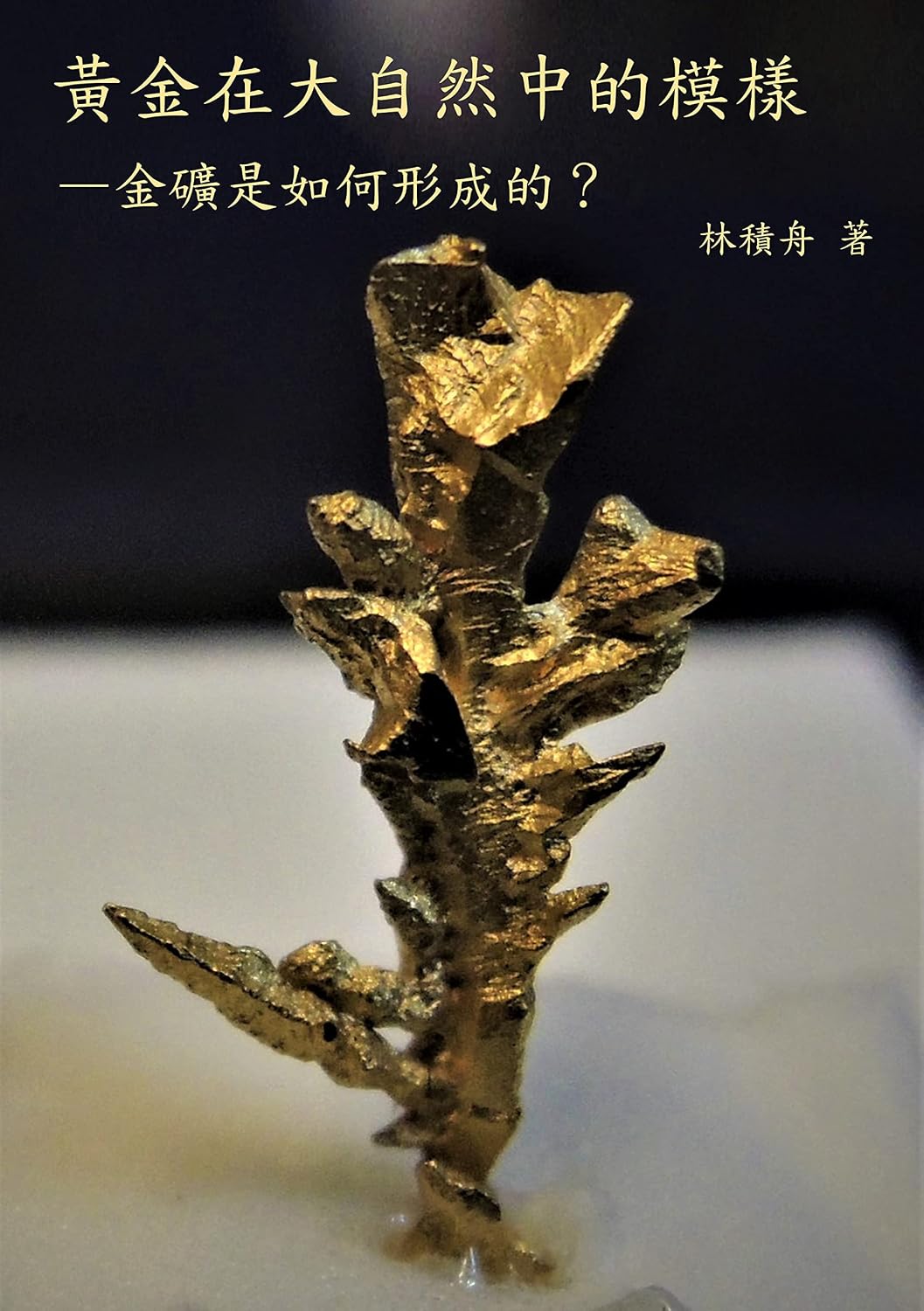 ler totalmente 黃金在大自然中的模樣: 金礦是如何形成的？ (Traditional Chinese Edition)