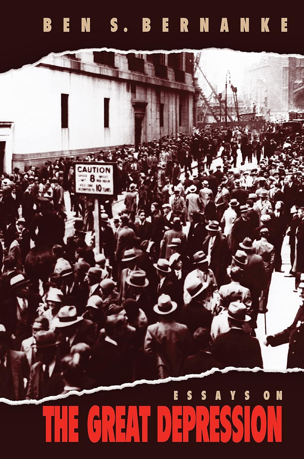 capítulo por capítulo baixar Essays on the Great Depression