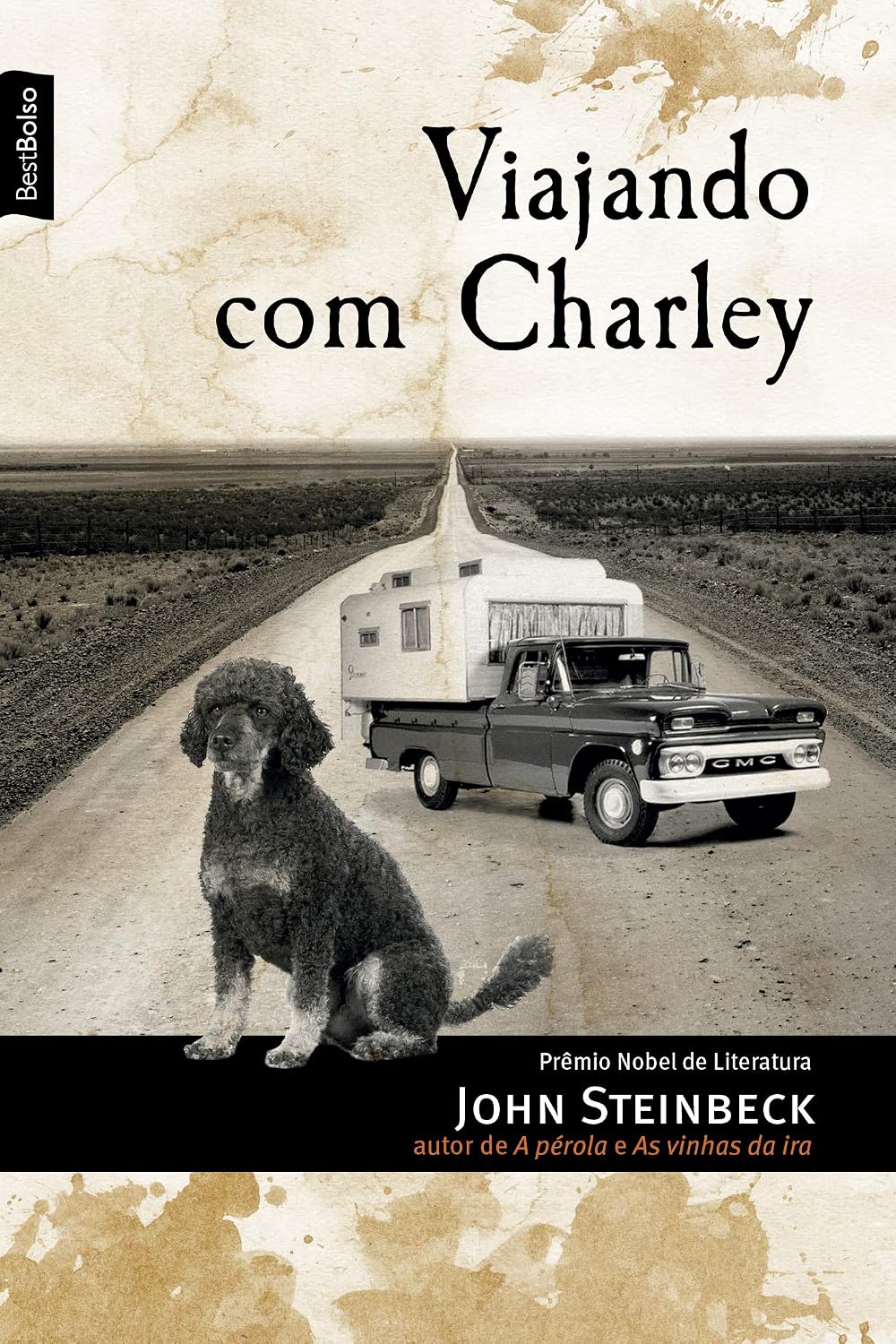 ler totalmente Viajando com Charley