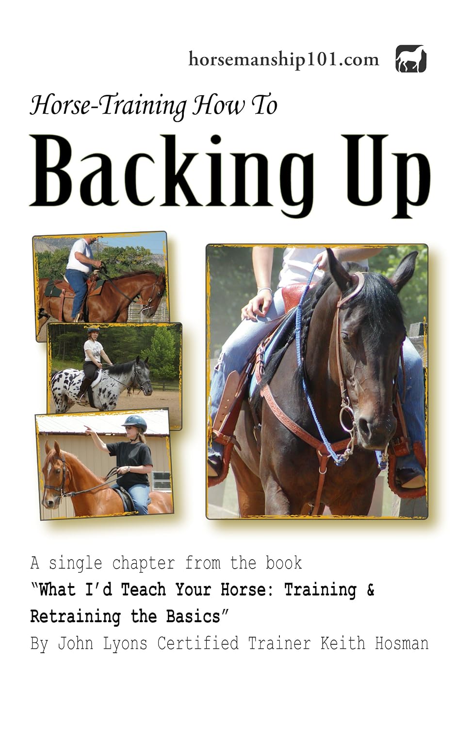 Backing Up (What I'd Teach Your Horse Book 12) (English Edition) baixar o livro de graça