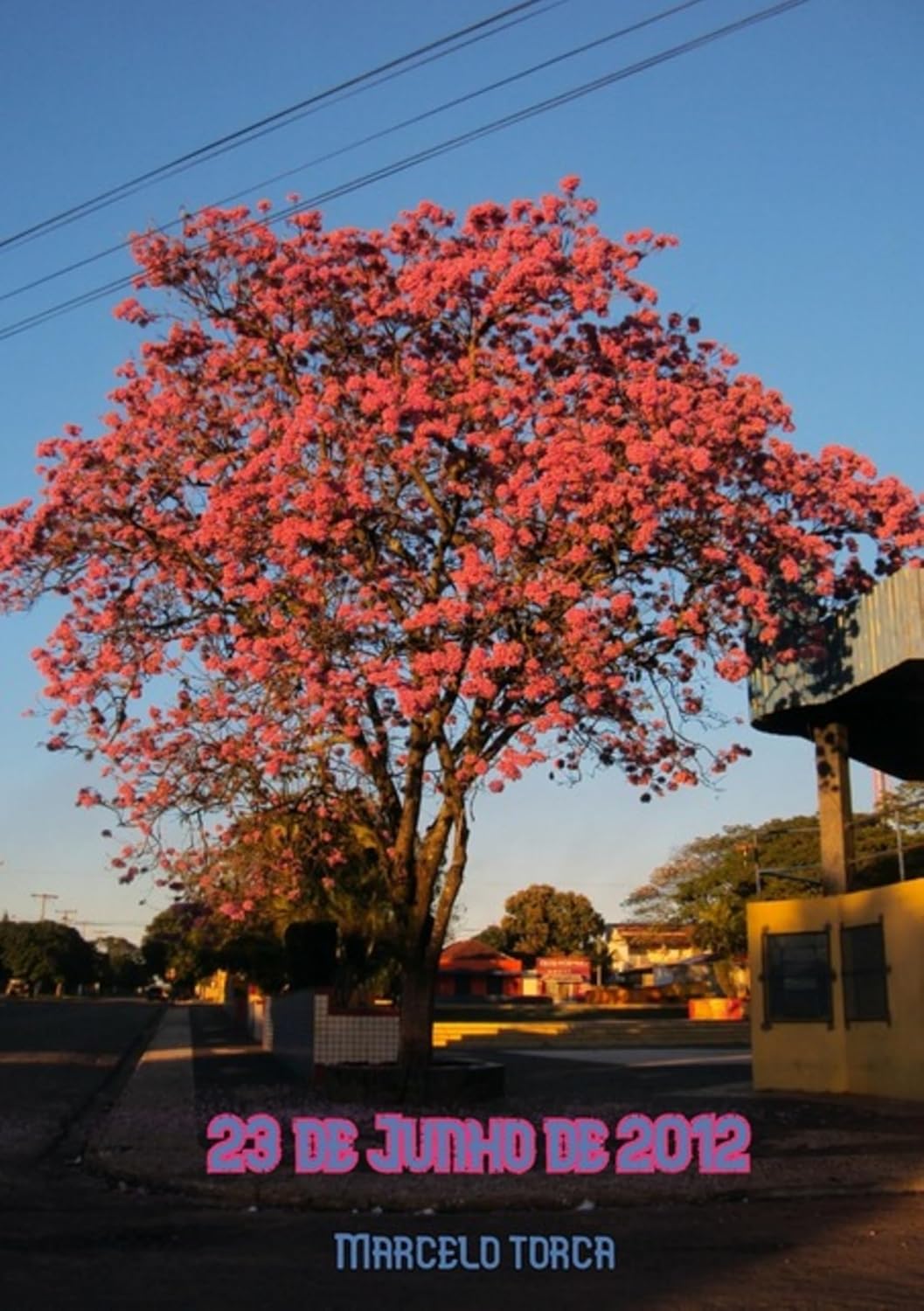 23 De Junho De 2012 baixar livro de graça