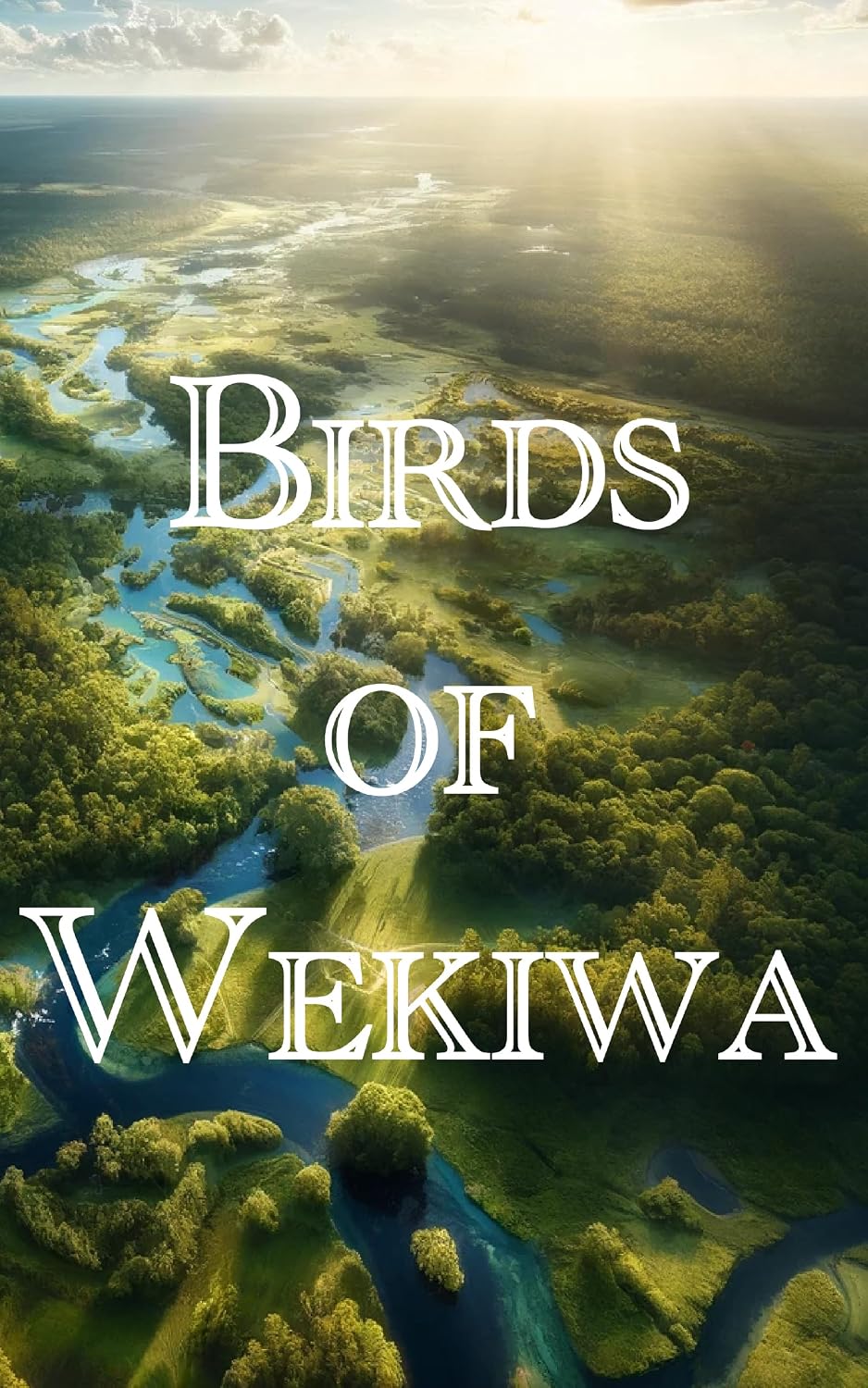 Birds of Wekiwa (English Edition) baixar o livro de graça