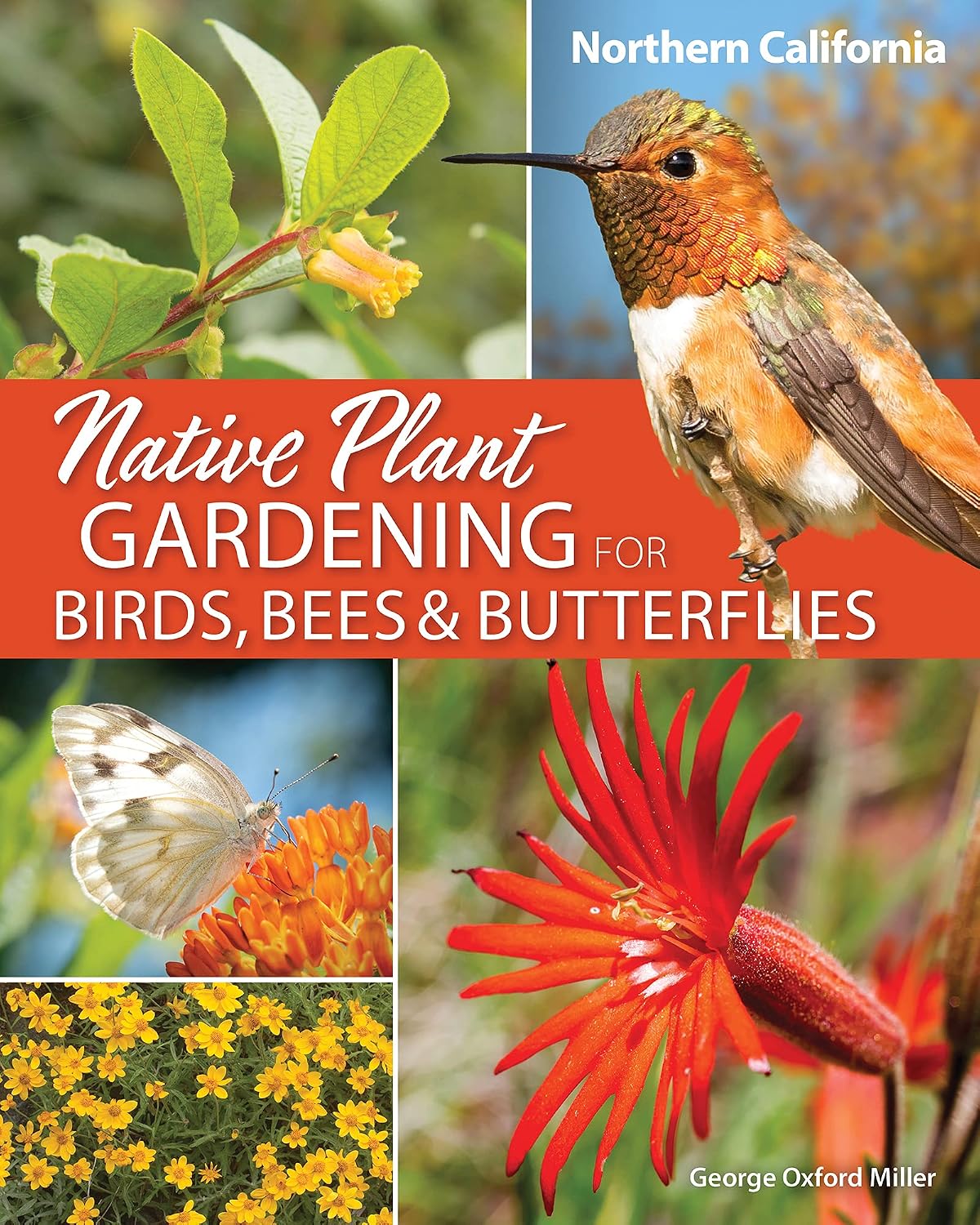 Native Plant Gardening for Birds, Bees & Butterflies: Northern California (Nature-Friendly Gardens) (English Edition)