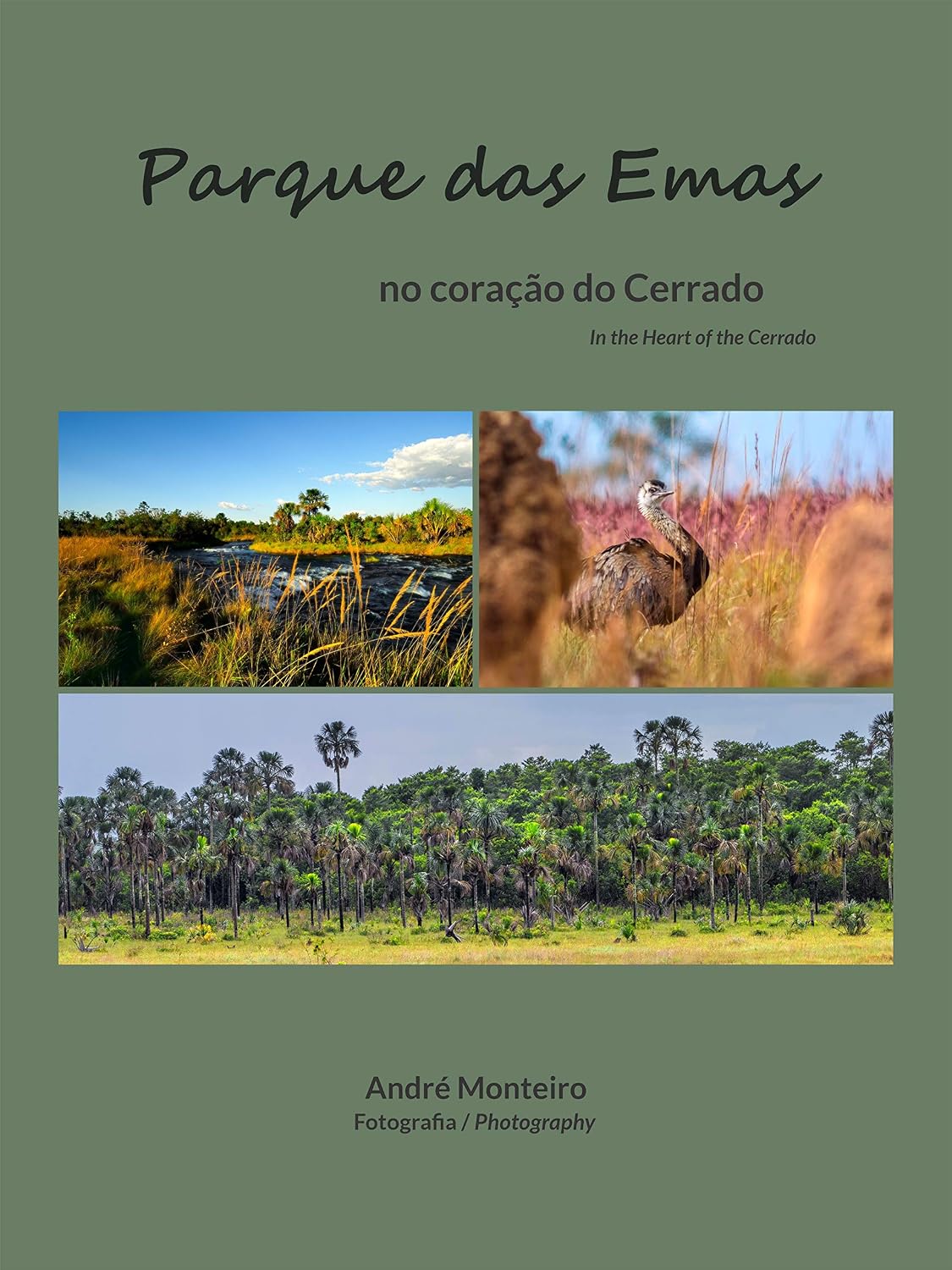 ler totalmente Parque das Emas: No Coração do Cerrado (English Edition)
