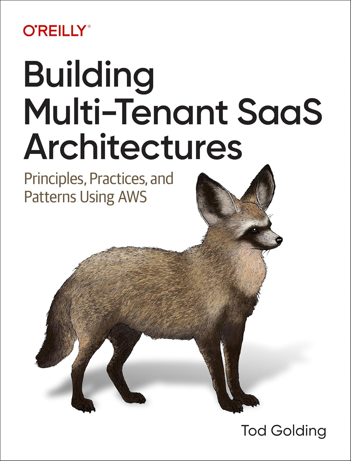 Building Multi-Tenant Saas Architectures: Principles, Practices, and Patterns Using AWS baixar o livro de graça