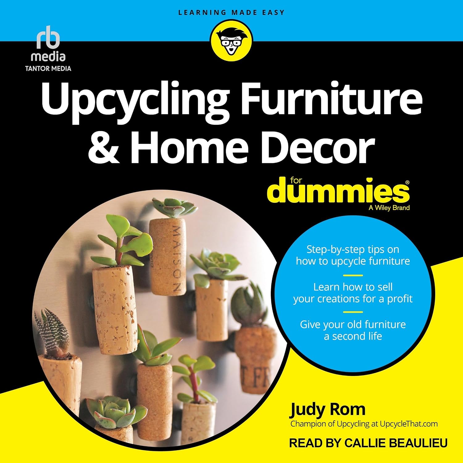 capítulo por capítulo baixar Upcycling Furniture & Home Decor for Dummies