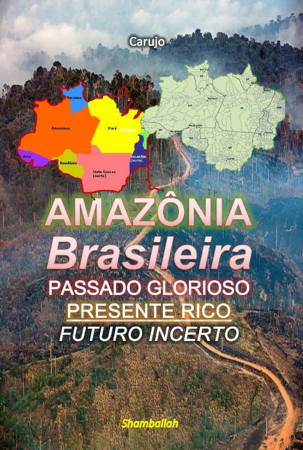 Amazônia Brasileira baixar livro de graça
