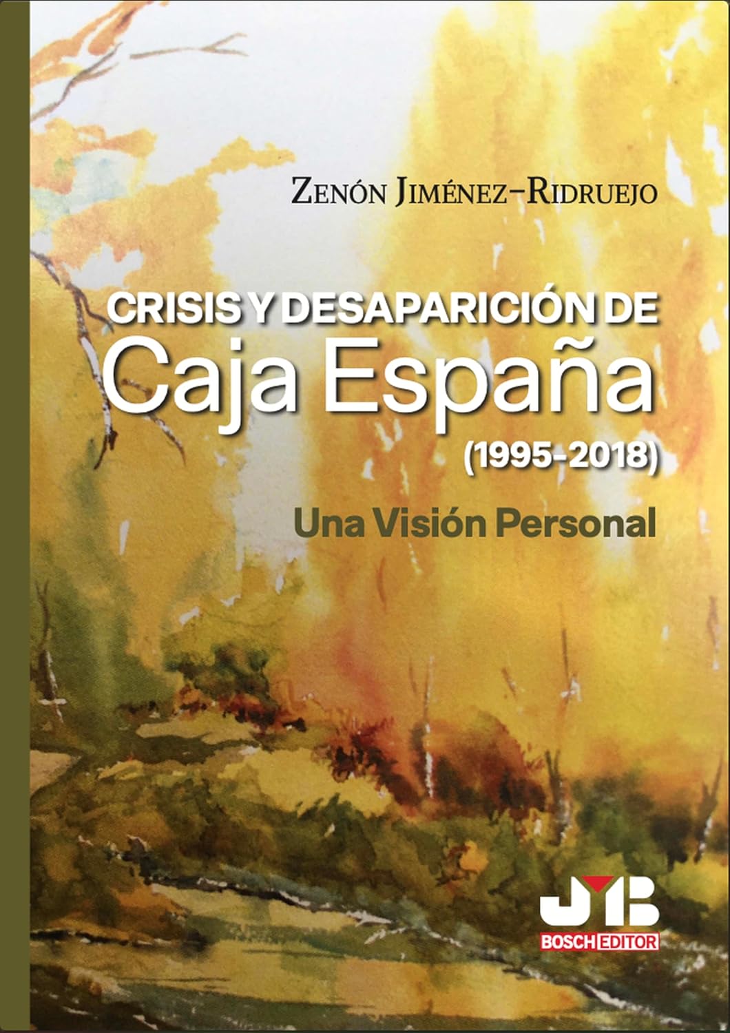 capítulo por capítulo baixar Crisis y Desaparición de Caja España (1995-2018): Una Visión Personal (Spanish Edition)