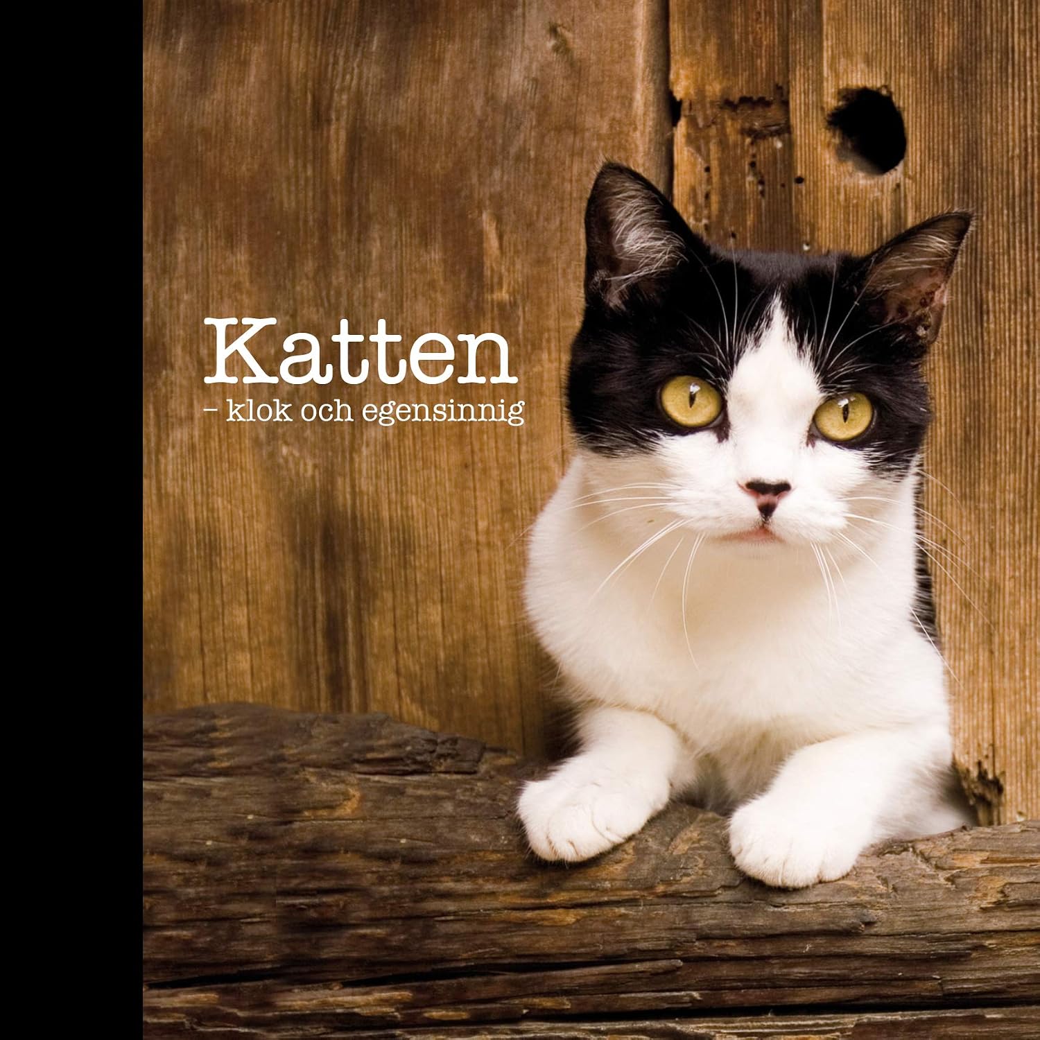 Katten: klok och egensinnig baixar livro de graça
