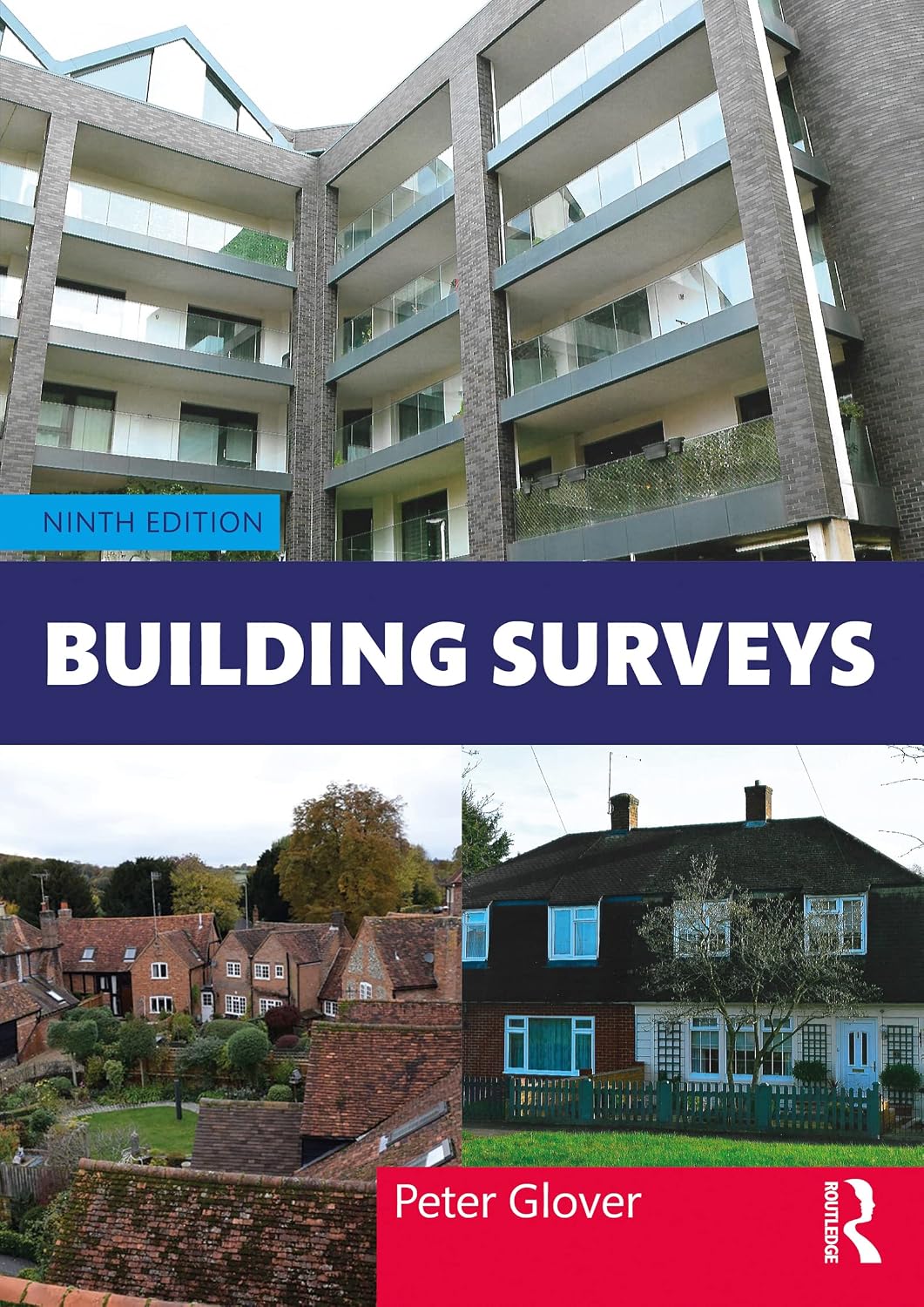 Building Surveys (English Edition) baixar o livro de graça