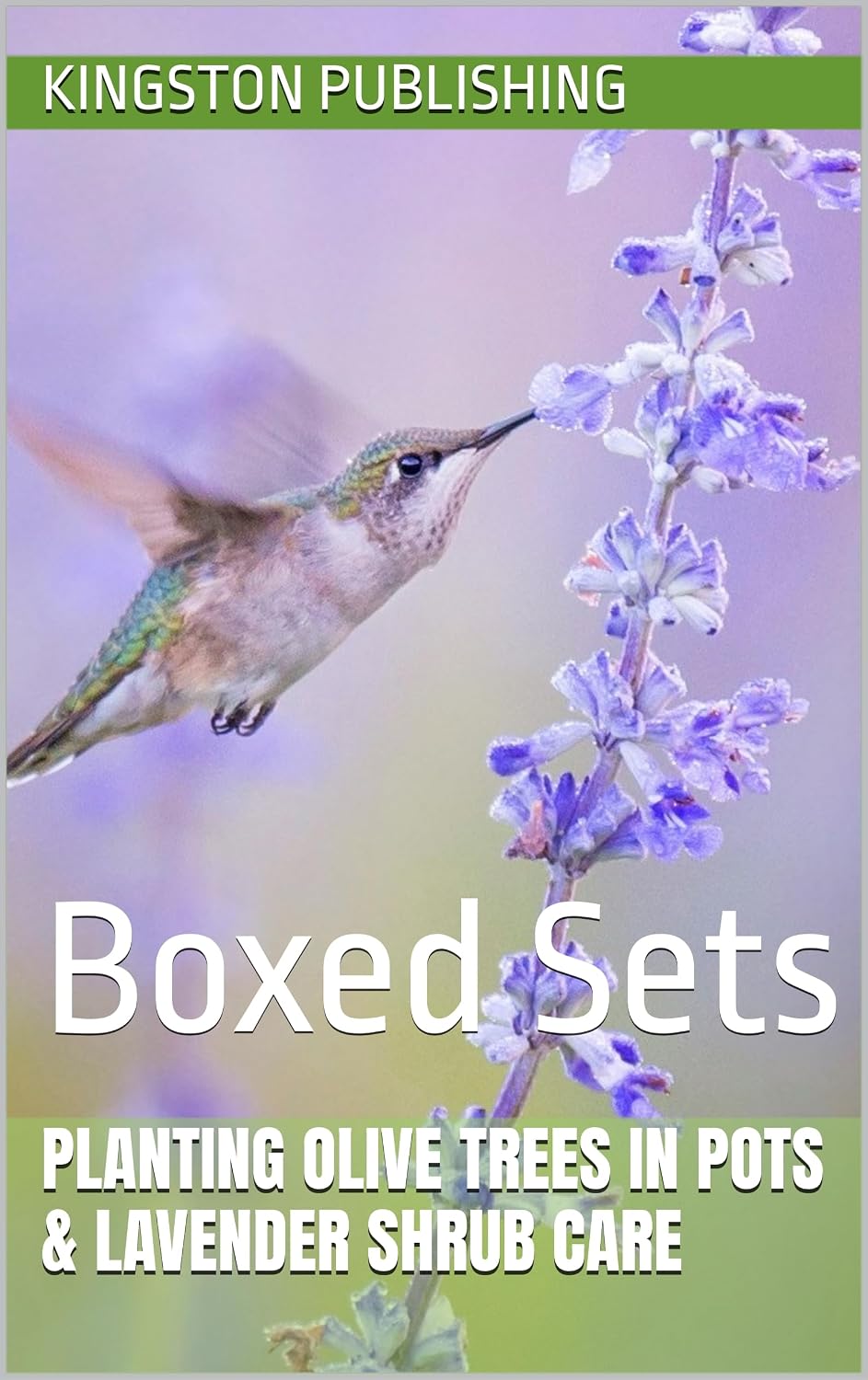 ler totalmente Planting Olive Trees in Pots & Lavender Shrub Care: Boxed Sets (Plant Care Guides for Beginners) (English Edition)