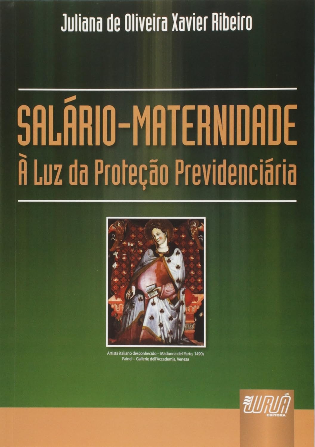 Salário Maternidade: À Luz da Proteção Previdenciária baixar livro de graça