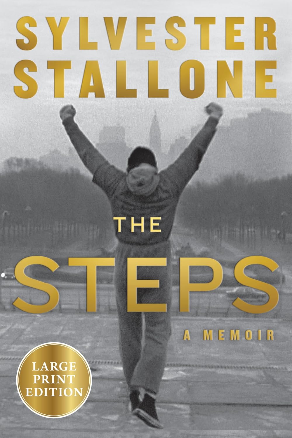 ler totalmente The Steps: A Memoir (Large Print)