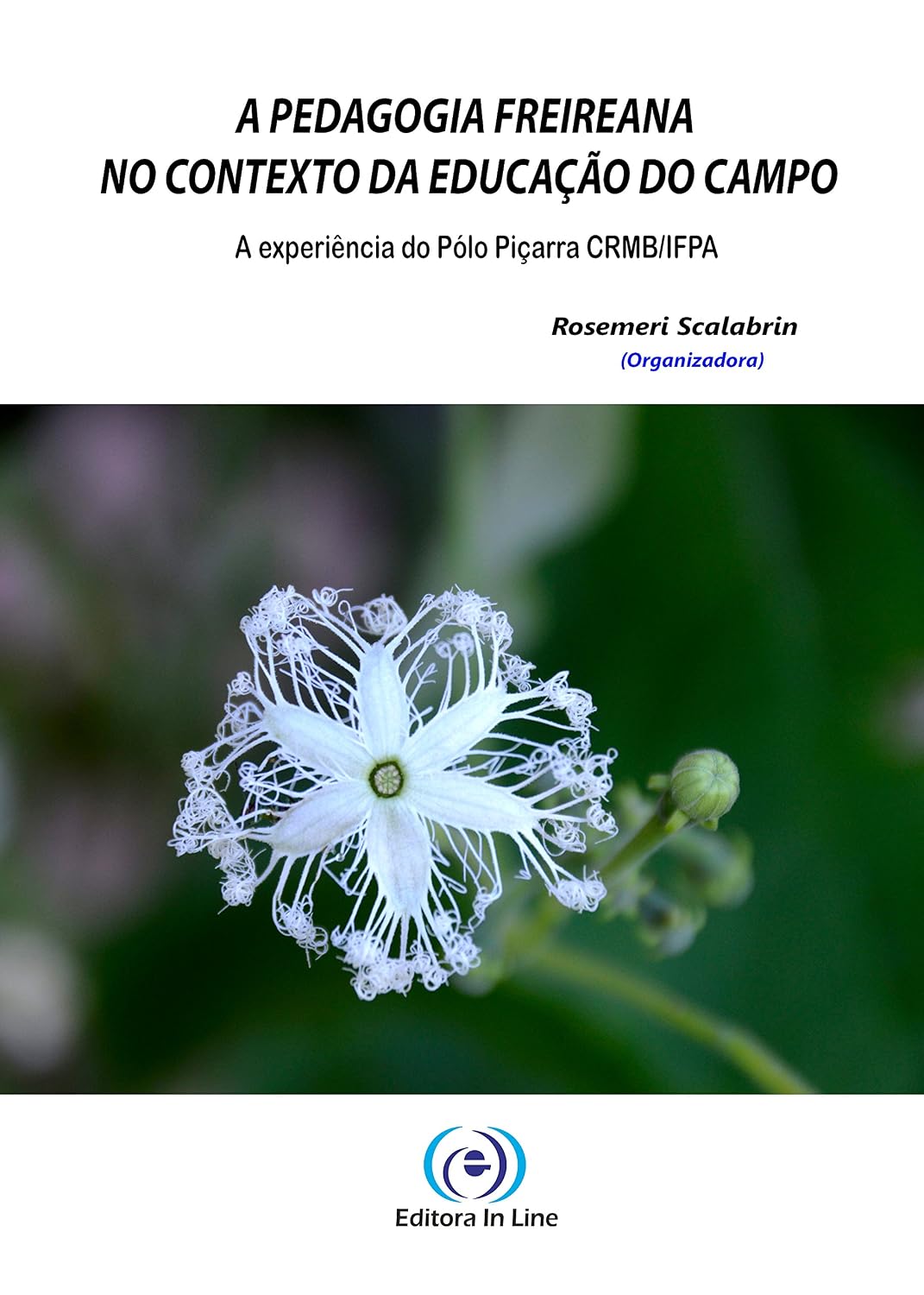 A Pedagogia Libertadora no Contexto da Educação do Campo: a experiência do Pólo Piçarra CRMB/IFPA baixar livro de graça