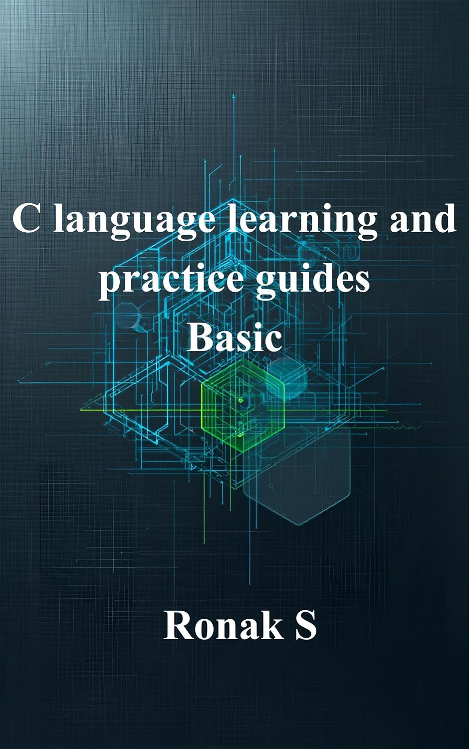 C language learning and practice guide: Basics level (English Edition) baixar o livro de graça