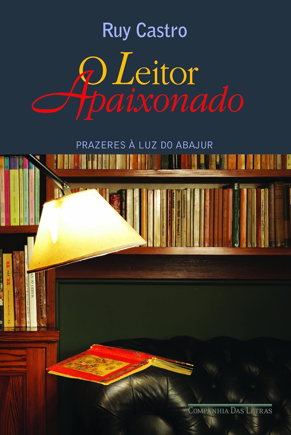 O leitor apaixonado: Prazeres à luz do abajur baixar livro de graça