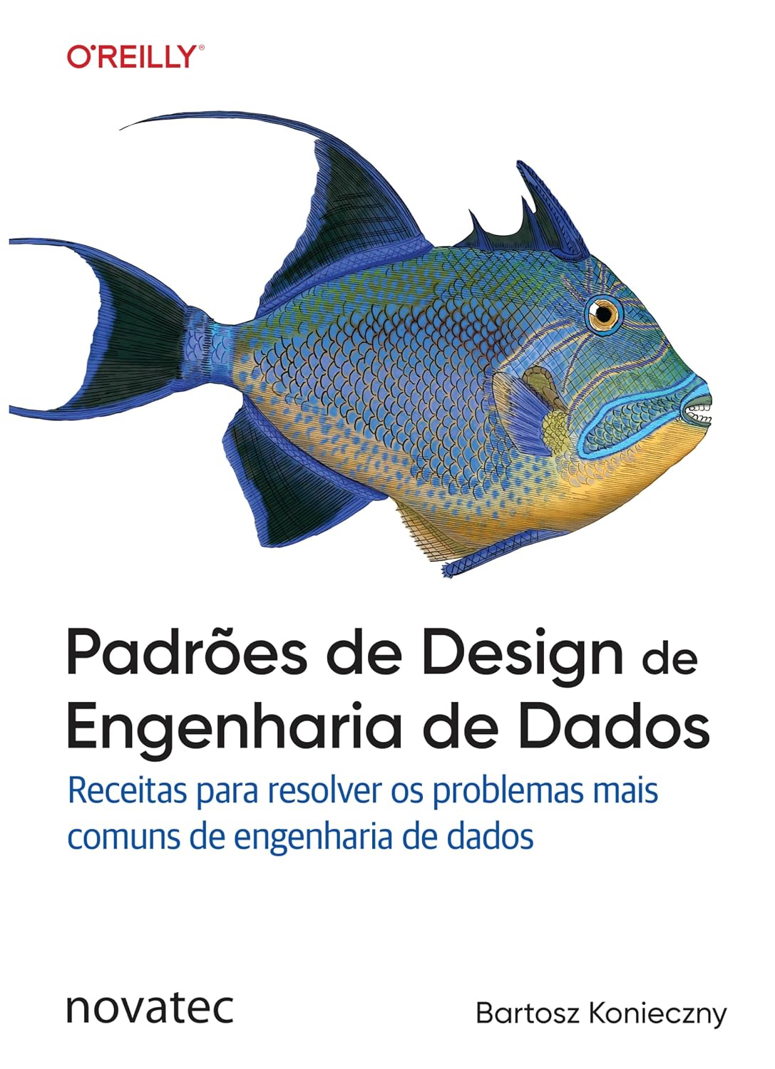 Padrões de Design de Engenharia de Dados: Receitas para resolver os problemas mais comuns de engenharia de dados baixar o livro de graça