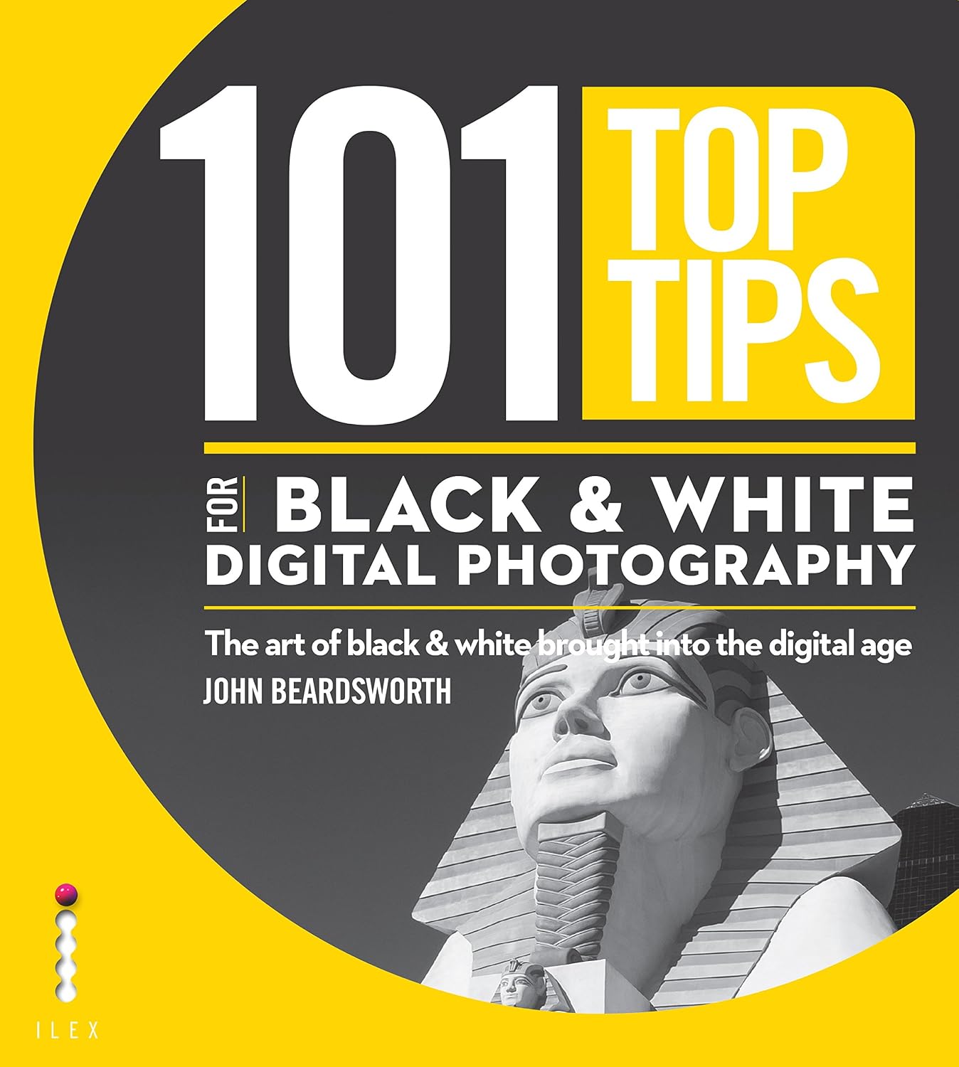 101 Top Tips for Black & White Digital Photography: The Art of Black & White Brought into the Digital Age (101 Photography Tips) (English Edition)