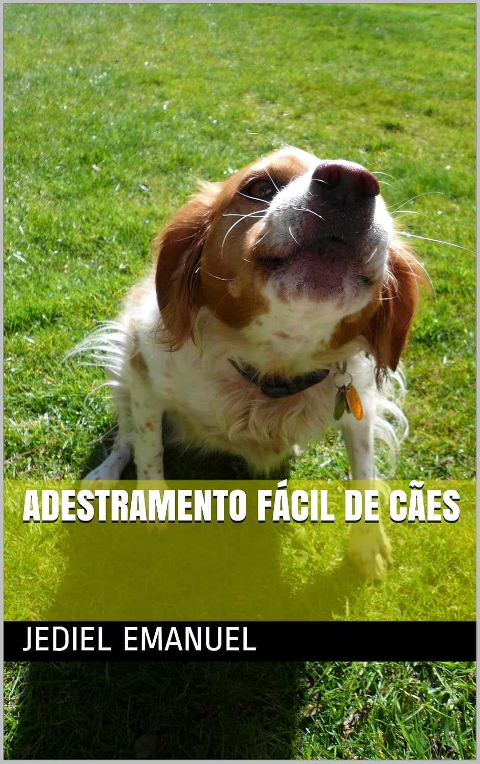 Adestramento Fácil de Cães baixar livro de graça