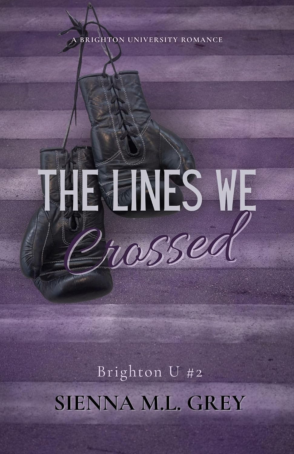 ler totalmente The Lines We Crossed (Brighton University Book 2) (English Edition)