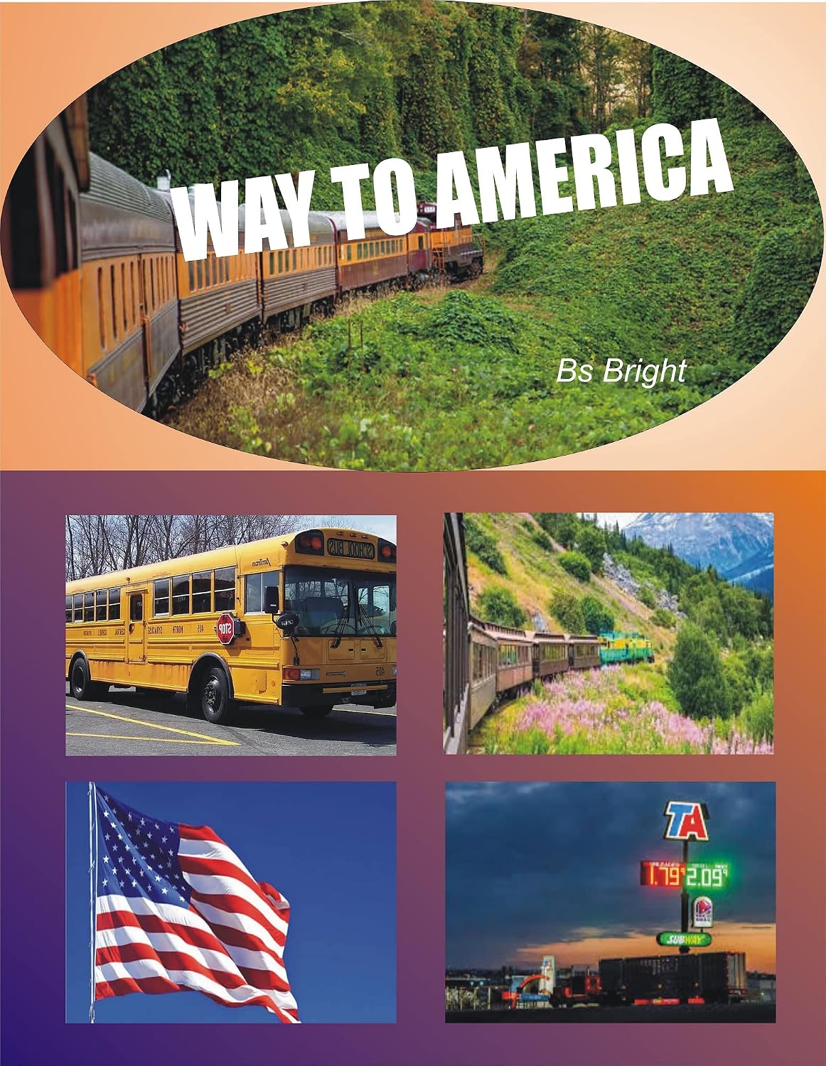 WAY TO AMERICA: Travelling to US (English Edition) baixar livro de graça