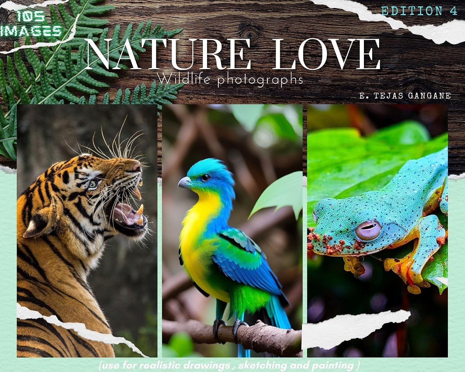 ler totalmente NATURE LOVE: Wildlife photographs (English Edition)