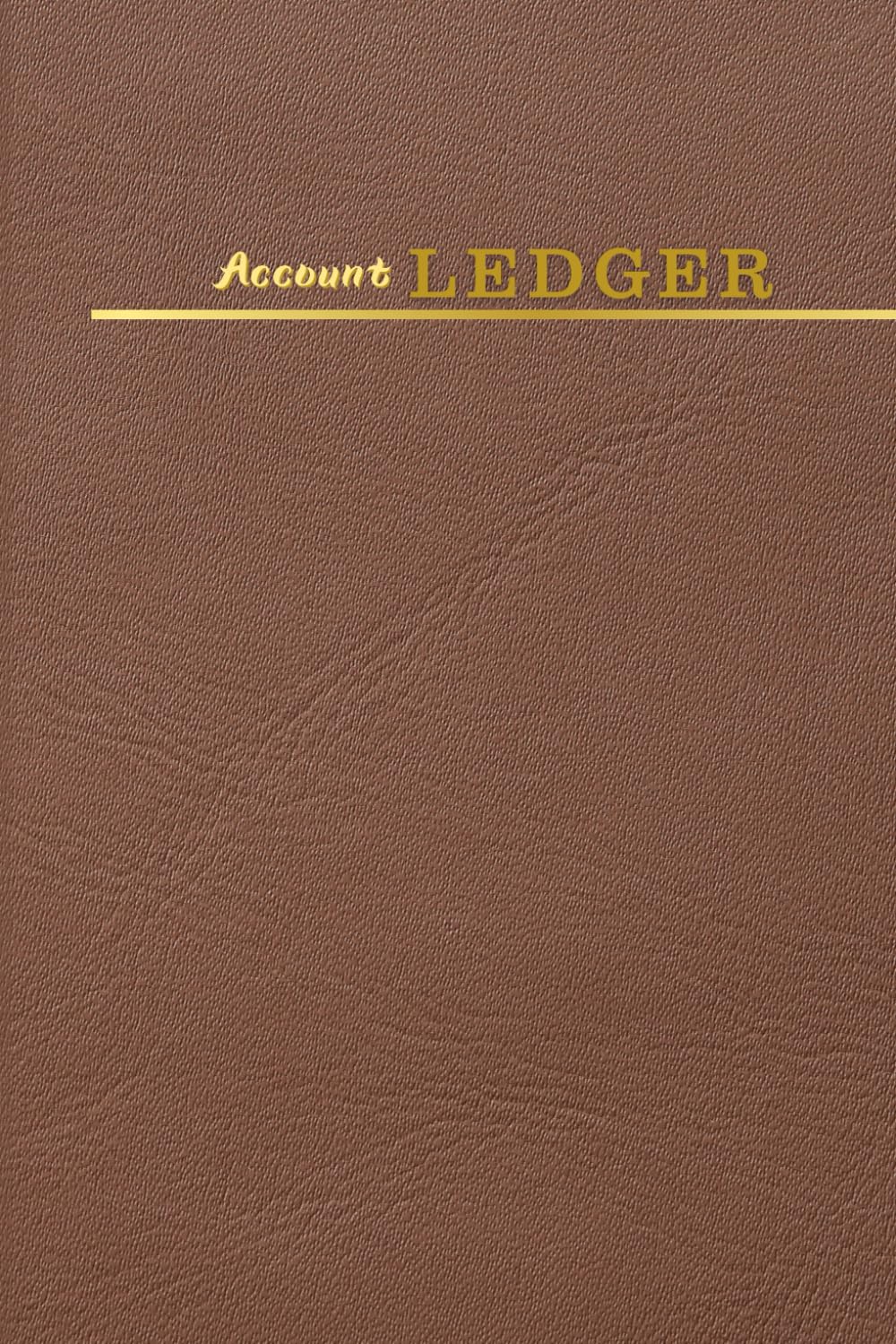 Account Ledger for Budgeting and Business Bookkeeping: Finance Planner & Expense Tracker: A Comprehensive Guide for Home and Business Expense Tracking baixar livro de graça