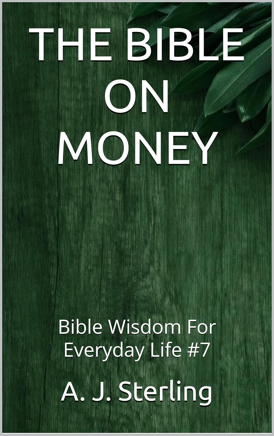 ler totalmente THE BIBLE ON MONEY: Bible Wisdom For Everyday Life #7 (English Edition)