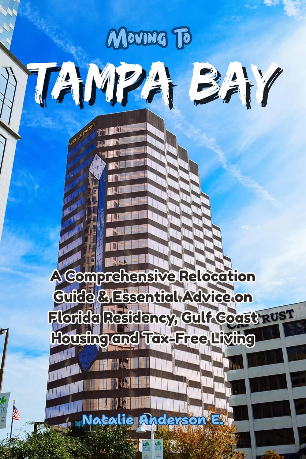 ler totalmente Moving to Tampa Bay: A Comprehensive Relocation Guide & Essential Advice on Florida Residency, Gulf Coast Housing and Tax-Free Living (The Global Relocation Blueprints) (English Edition)