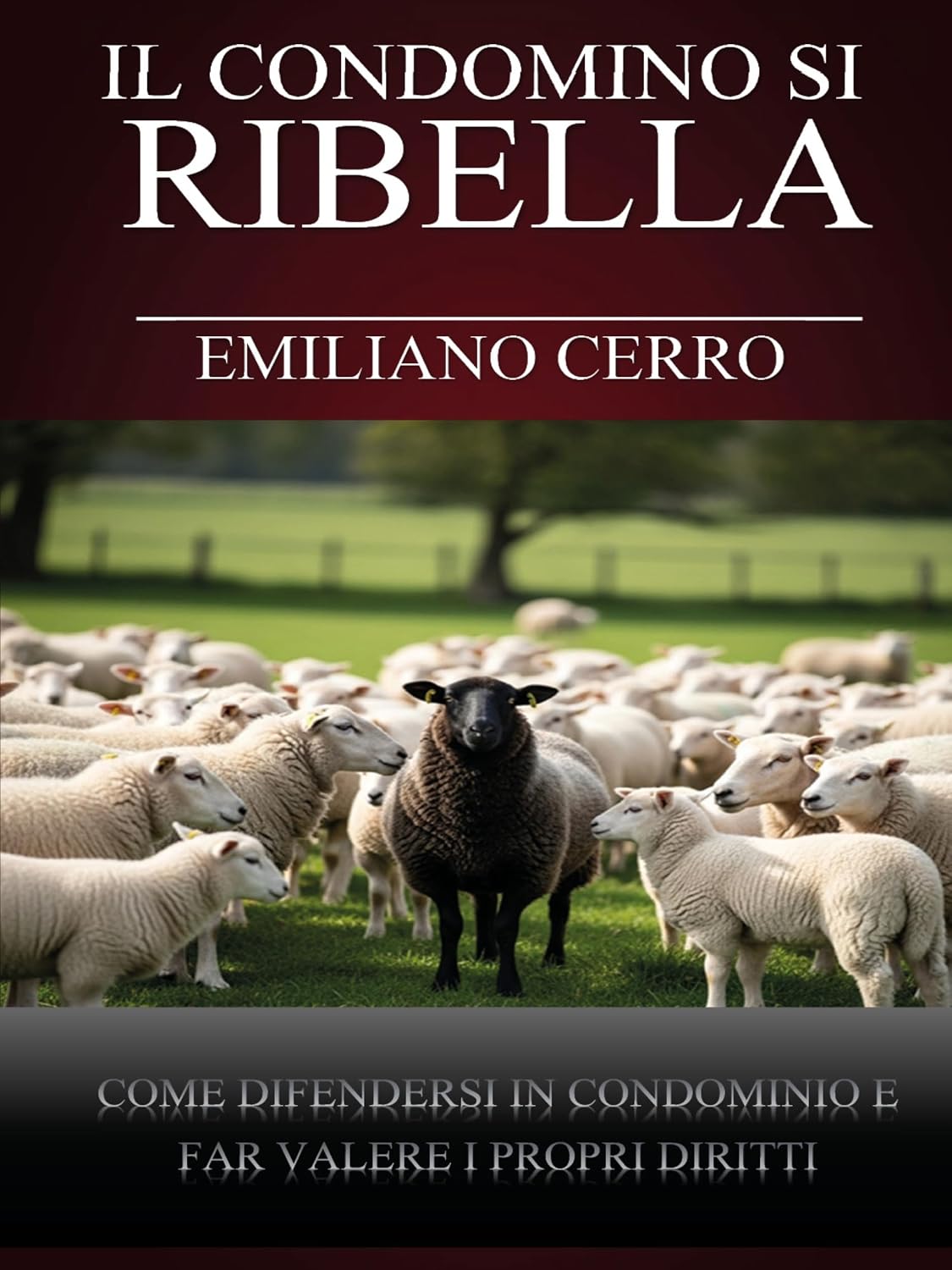 ler totalmente Il Condomino si Ribella (Italian Edition)