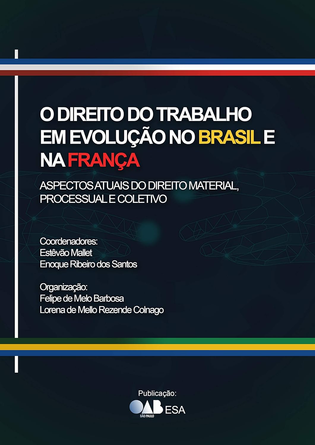 capítulo por capítulo baixar O Direito do Trabalho em Evolução no Brasil e na França. Aspectos Atuais do Direito Material, Processual e Coletivo