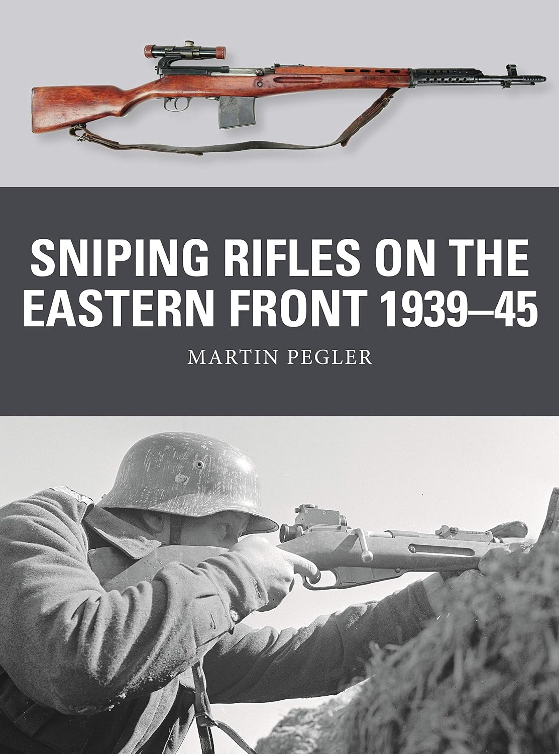Sniping Rifles on the Eastern Front 1939–45 (Weapon Book 67) (English Edition) baixar livro de graça