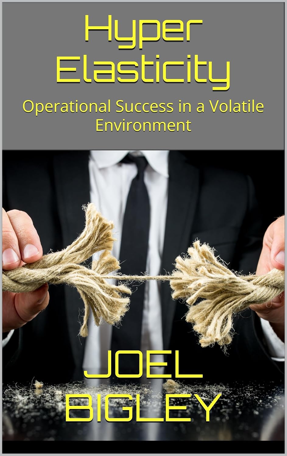 Hyper Elasticity: Operational Success in a Volatile Environment (English Edition) baixar o livro de graça