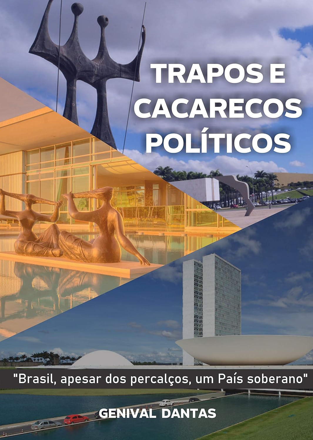 Trapos e Cacarecos Políticos baixar o livro de graça