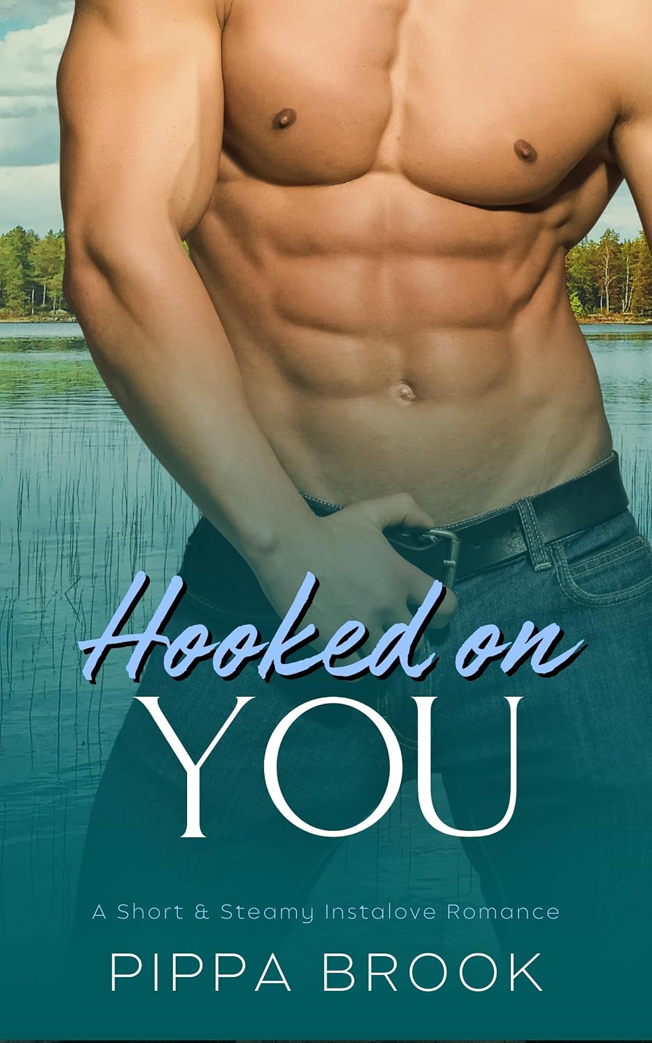 ler totalmente Hooked on You: A Short & Steamy Instalove Romance (Lake Mercury Lovers Book 1) (English Edition)