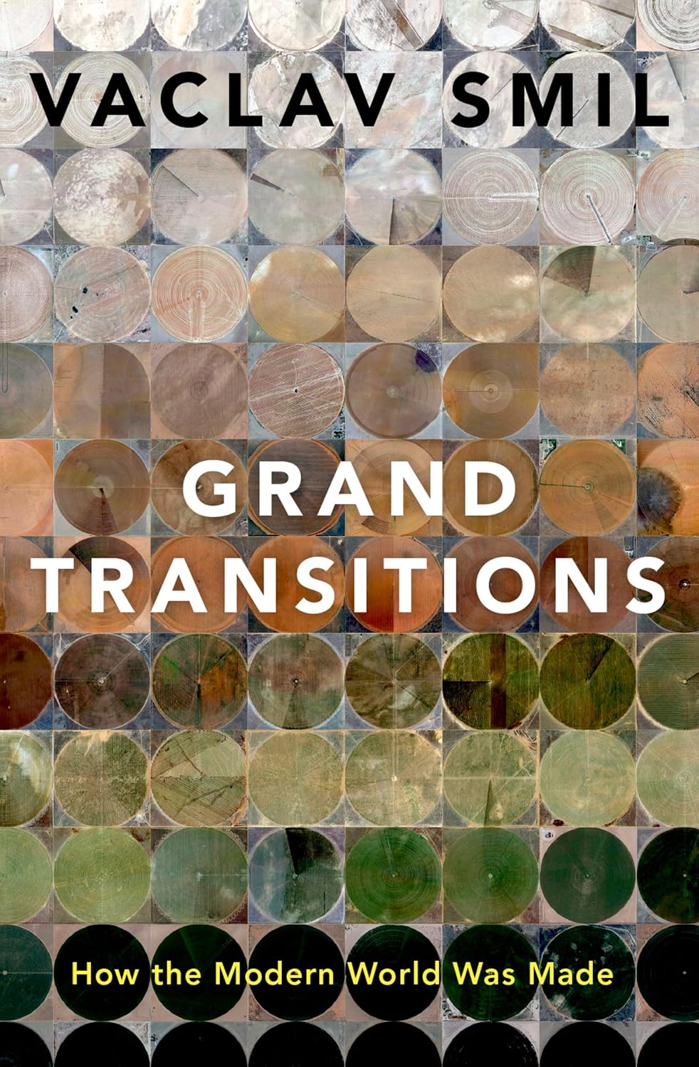 capítulo por capítulo baixar Grand Transitions: How the Modern World Was Made