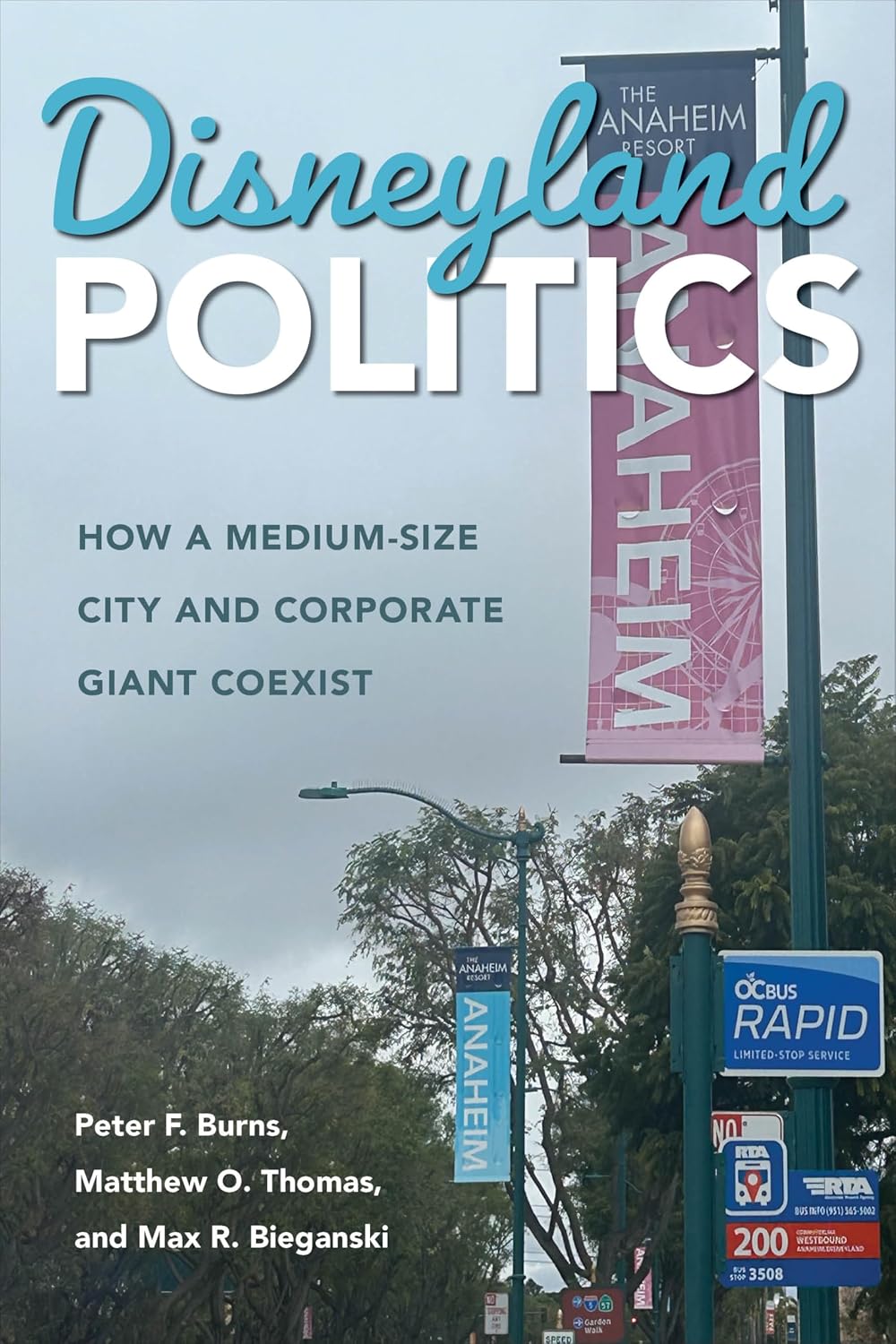 Disneyland Politics: How a Medium-Size City and Corporate Giant Coexist (English Edition) baixar o livro de graça