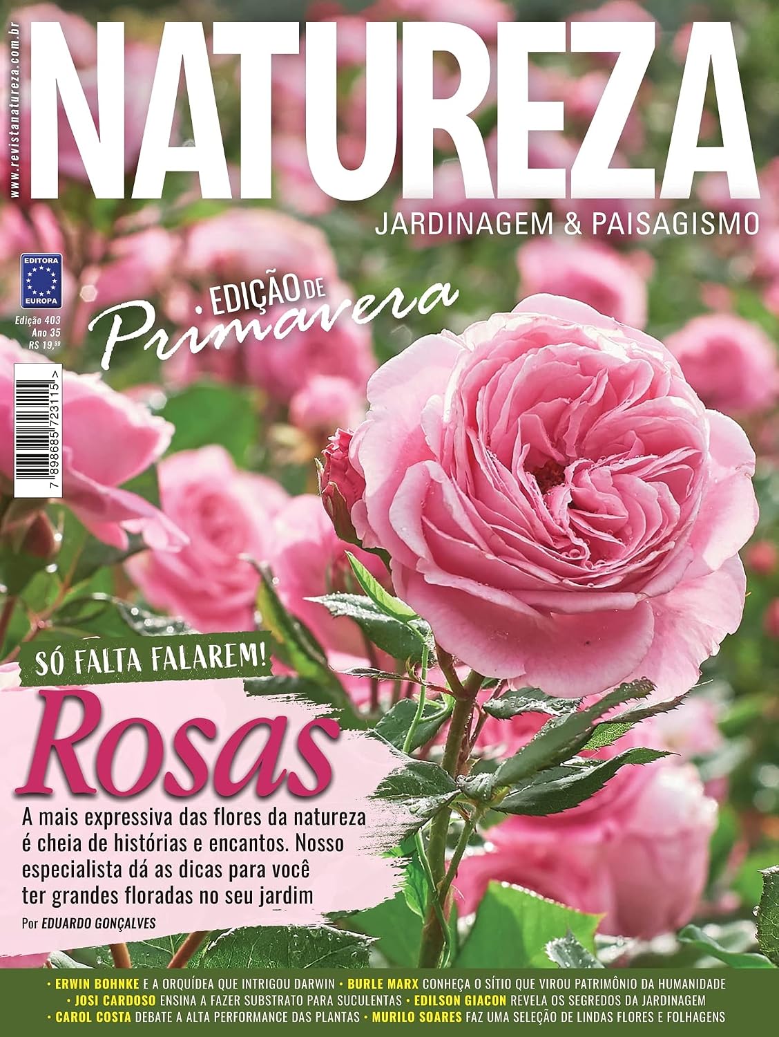 ler totalmente Revista Natureza 403