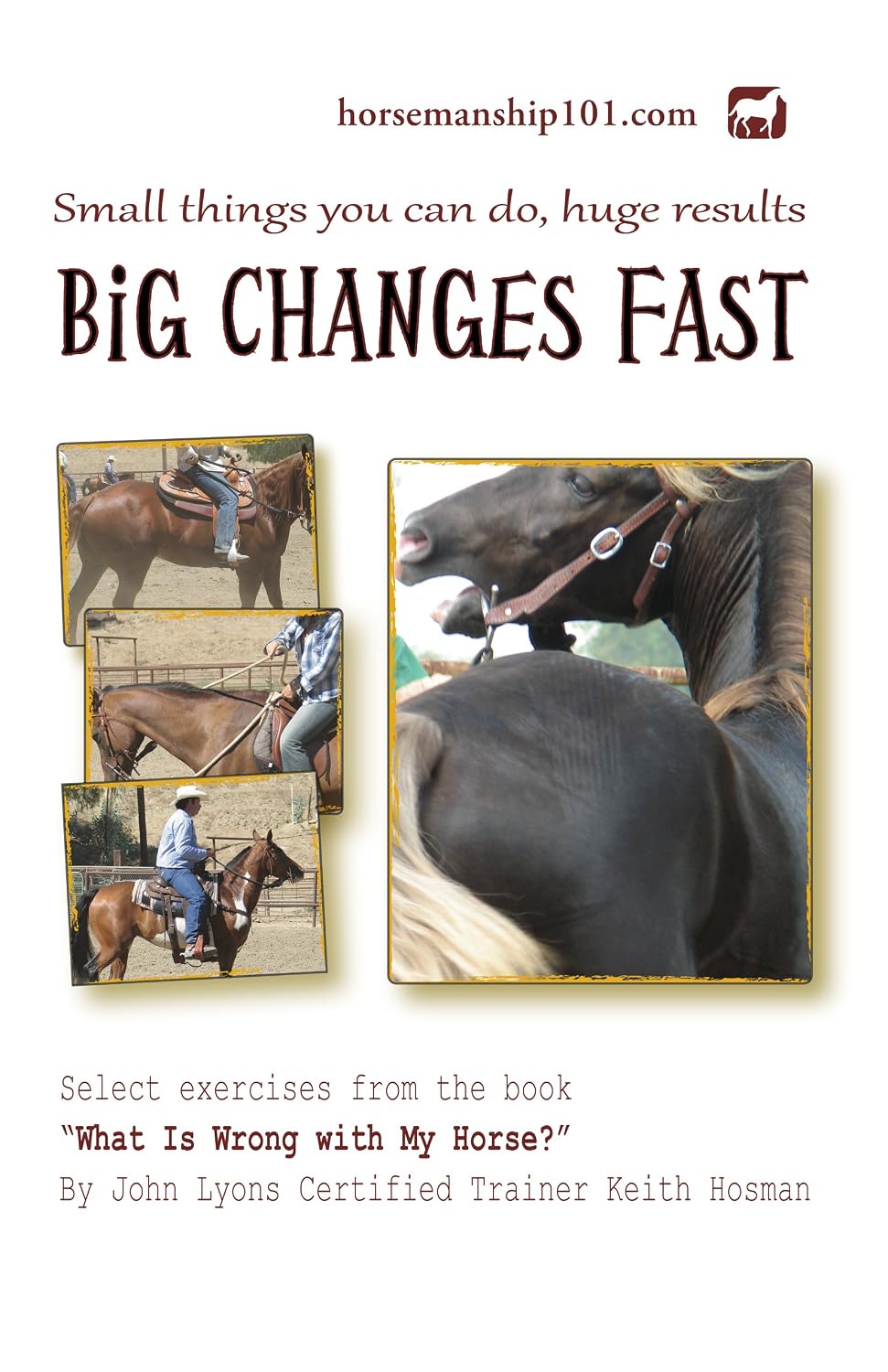 Big Changes Fast (What Is Wrong with My Horse? Book 11) (English Edition) baixar livro de graça
